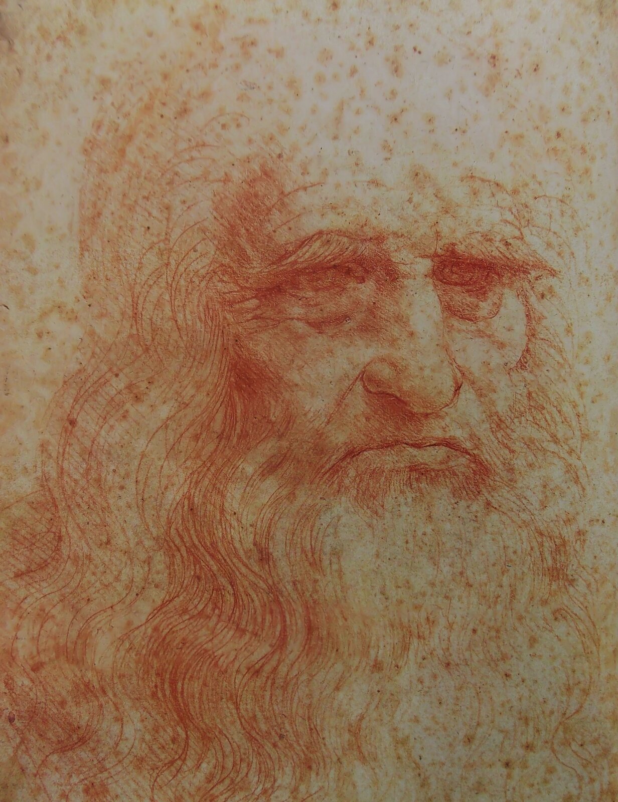 Ilustracja przedstawia rysunek sangwiną z widniejącymi na nim licznymi śladami przebarwień. Autoportret wykonany jest czerwoną kredką, przedstawia brodatego, łysiejącego mężczyznę w starszym wieku. Postać ukazana jest z półprofilu. Na twarzy widoczny jest smutek, oczy spoglądają w dół. Artysta przy pomocy cienkich linii oraz cieniowania, z dużą precyzją i dbałością o detal ukazał charakterystyczne cechy portretowanej postaci: długi, prosty nos, wąskie, zaciśnięte usta, duże podkrążone oczy z opadającymi na nie, krzaczastymi brwiami, łysiejące pomarszczone czoło, pofalowane włosy brody. Autoportret tchnie powagą i skupieniem.