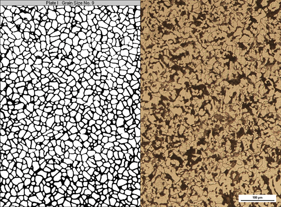 Na zdjęciu przedstawiono metodę mikroskopową określania wielkości ziarna. Zdjęcie podzielone jest ba dwie części Po lewej stronie ziarno narysowane jest na podstawie oryginalnego obrazu. Widoczne ziarno ma czarne obwódki. Wnętrze ziarna jest białe. Ziarno cechuje się dużym rozmiarem. Po prawej widoczne jest oryginalne ziarno. Widoczne ziarna widziane są w skali stu mikrometrów. Po obu stronach przypominają mozaikę.