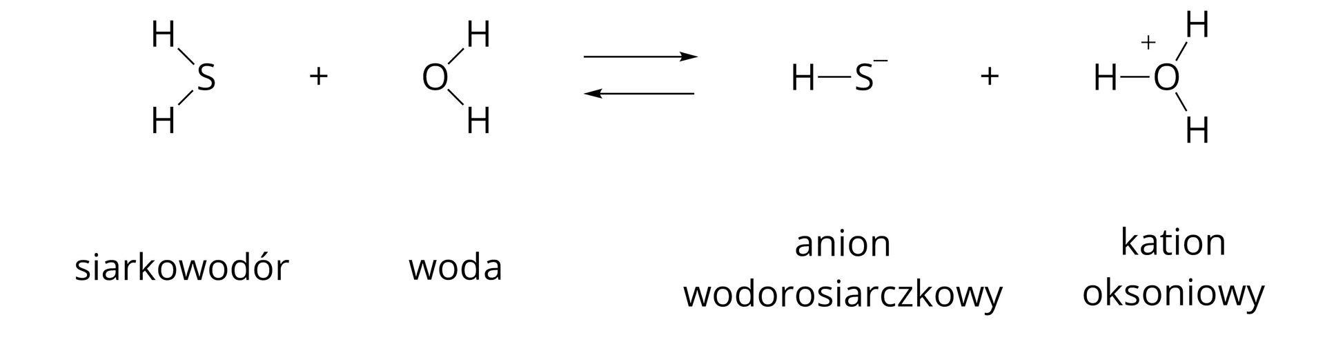 Grafika przedstawia równanie reakcji dysocjacji siarkowodoru. Atom S, połączony dwoma kreskami z dwoma atomami H, z podpisem "siarkowodór". Następnie znak plus i atom O połączony dwoma kreskami z dwoma atomami O. Obok znajdują się dwie poziome strzałki, jedna nad drugą, wskazujące w przeciwne strony – jedna w prawo, a druga w lewo. Za nimi atom H połączony kreską z atomem s z symbolem minus w indeksie górnym, jon jest podpisany "anion wodorosiarczkowy". Dalej po prawej znajduje się znak plus, a za nim atom O połączony trzema kreskami z trzema atomami H, a cały jon oznaczony jest symbolem plus nad atomem O. Jon ma podpis "kation oksoniowy".