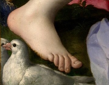 Zdjęcie jest fragmentem obrazu. W centrum kadru ukazana jest ludzka stopa. Pod nią widać dwa białe gołębie.