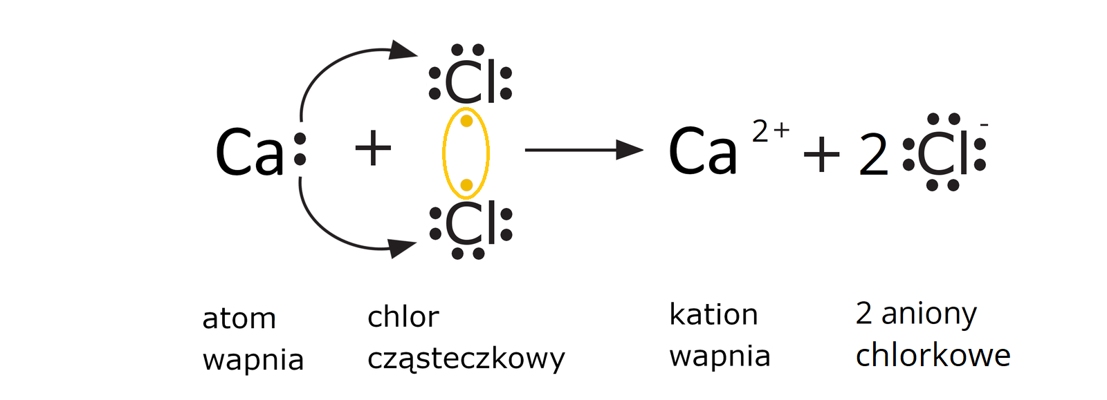 Ilustracja przedstawiająca schemat powstawania chlorku wapnia. Atom wapnia Ca z zaznaczonymi za pomocą dwóch kropek dwoma elektronami walencyjnymi, dodać cząsteczka chloru Cl2 przedstawiona jako dwa atomy chloru Cl z zaznaczonymi wolnymi parami elektronowymi za pomocą trzech pra kropek oraz z zaznaczoną wspólną parą elektronową za pomocą dwóch kropek znajdujących się pomiędzy atomami chloru. Strzałka w prawo, za strzałką kation wapniowy Ca2+ dodać dwa aniony chlorkowe Cl-.
