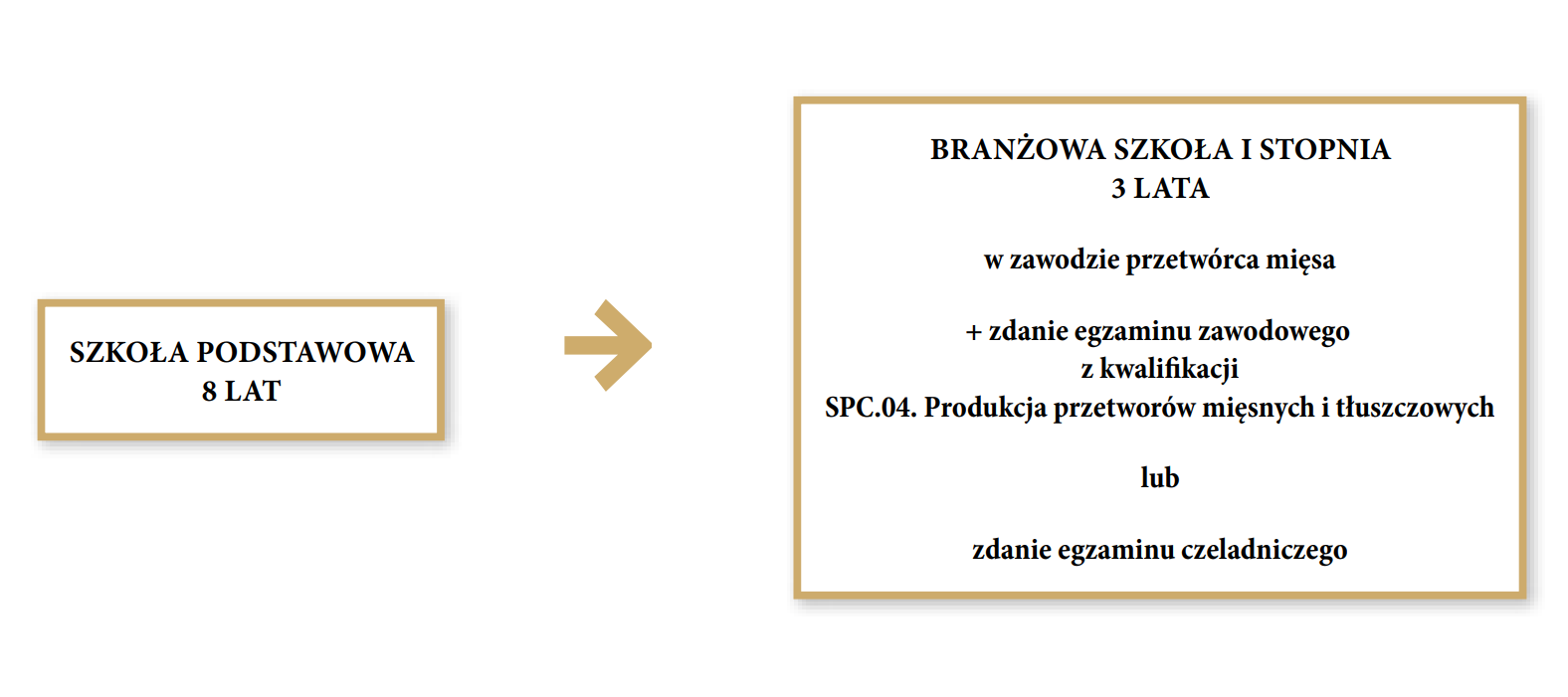 Grafika przedstawia ścieżkę możliwości kształcenia w zawodzie przetwórca mięsa. Pierwszym krokiem do zawodu jest ukończenie ośmiu lat szkoły podstawowej. Drugim krokiem jest ukończenie trzyletniej branżowej szkoły pierwszego stopnia w zawodzie przetwórca mięsa i zdanie egzaminu zawodowego z kwalifikacji S P C kropka zero cztery kropka Produkcja przetworów mięsnych i tłuszczowych oraz zdanie egzaminu czeladniczego.