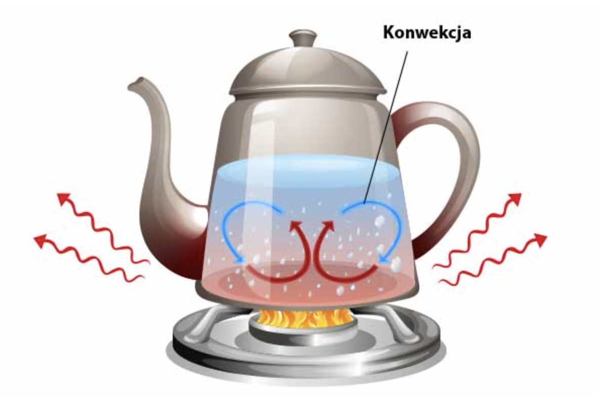  Ilustracja przedstawia ustawiony na palniku gazowym czajnik. Pod nim płomień. W czajniku znajduje się woda. W środku dwa utworzone z dwóch strzałek okręgi po lewej i prawej. Górna strzałka jest niebieska, zaś dolna czerwona. Do prawej dorysowano linię na końcu której jest napis konwekcja. Po bokach czajnika z obu stronach znajdują się po dwie czerwone strzałki w kształcie sprężynek. 