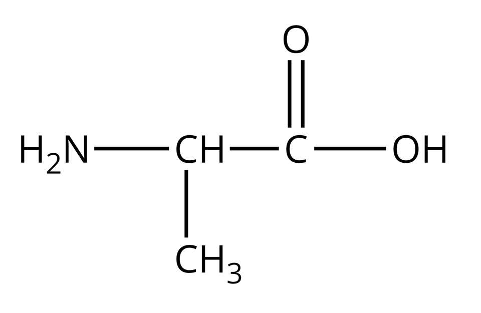 Wzór półstrukturalny alaniny. Do grupy H indeks dolny, dwa, koniec indeksu dolnego, N z prawej strony przyłączona jest grupa C H. Od niej odchodzą dwa wiązania pojedyncze: w dół do grupy C H indeks dolny, trzy, koniec indeksu dolnego i w prawo do atomu węgla. Od niego odchodzą dwa wiązania: podwójne w górę, prowadzące do atomu tlenu i pojedyncze w prawo do grupy O H.