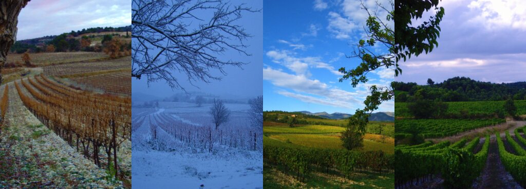Cztery pory roku: jesień, zima, wiosna i lato Cztery pory roku: jesień, zima, wiosna i lato Źródło: leasqueaky, licencja: CC BY-SA 2.0.
