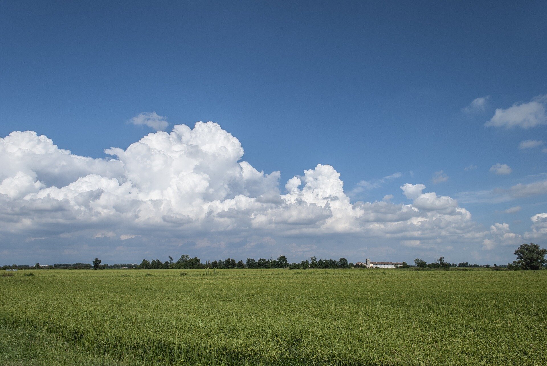 Zdjęcie przedstawia płaski teren pokryty trawą. Na drugim planie drzewa. Duże, białe, kłębiaste chmury na niebie.