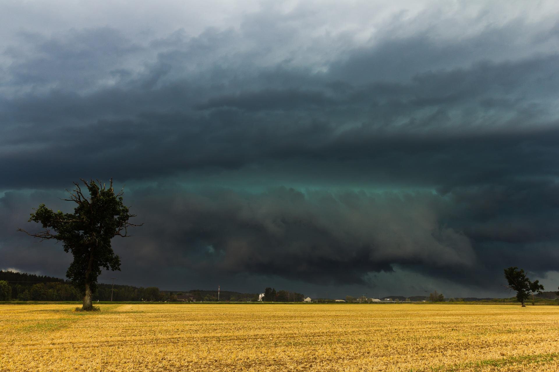Zdjęcie przedstawia nadchodzącą burzę. Niebo pokrywa rozległa chmura kłębiasta deszczowa. Na pierwszym planie znajduje się skoszone pole z nielicznymi drzewami, dalej las i zabudowania na horyzoncie. Nad horyzontem znajdują się dramatyczne szaro granatowe chmury.