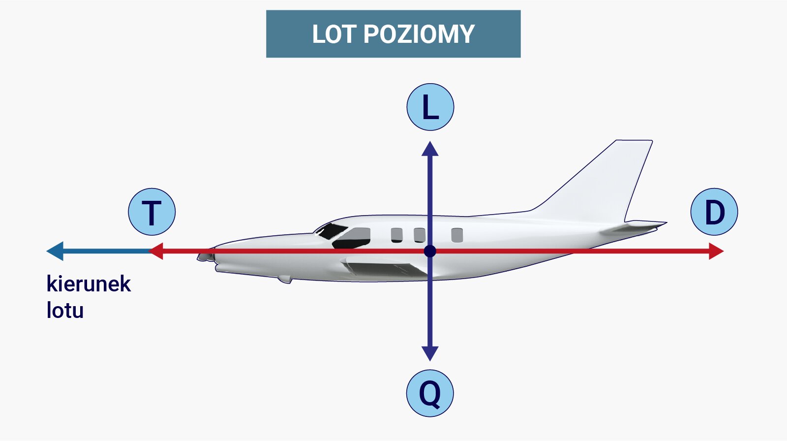 Ilustracja przedstawia lot poziomy samolotu. Schematycznie ukazano samolot, którego przód znajduje się po lewej stronie, zaś tył po prawej stronie. W kierunku obserwatora skierowane jest lewe skrzydło. Zaznaczono wektory opisane jako kierunek lotu, co reprezentuje pozioma strzałka skierowana w lewą stronę poprowadzona od środka ciężkości samolotu, częściowo pokrywająca się z nią strzałka odpowiadająca ciągowi samolotu T. Dalej reprezentowany przez poziomą strzałkę skierowaną w prawą stronę opór samolotu D oraz ciężar Q, któremu odpowiada strzałka skierowana w dół. Ponadto na rysunku zaznaczono wektor reprezentowany przez strzałkę wychodzącą ze środka ciężkości i skierowaną do góry, prostopadle, między innymi do wektorów T i D, co odpowiada sile nośnej L. Siła nośna równoważona jest przez siłę ciężkości.