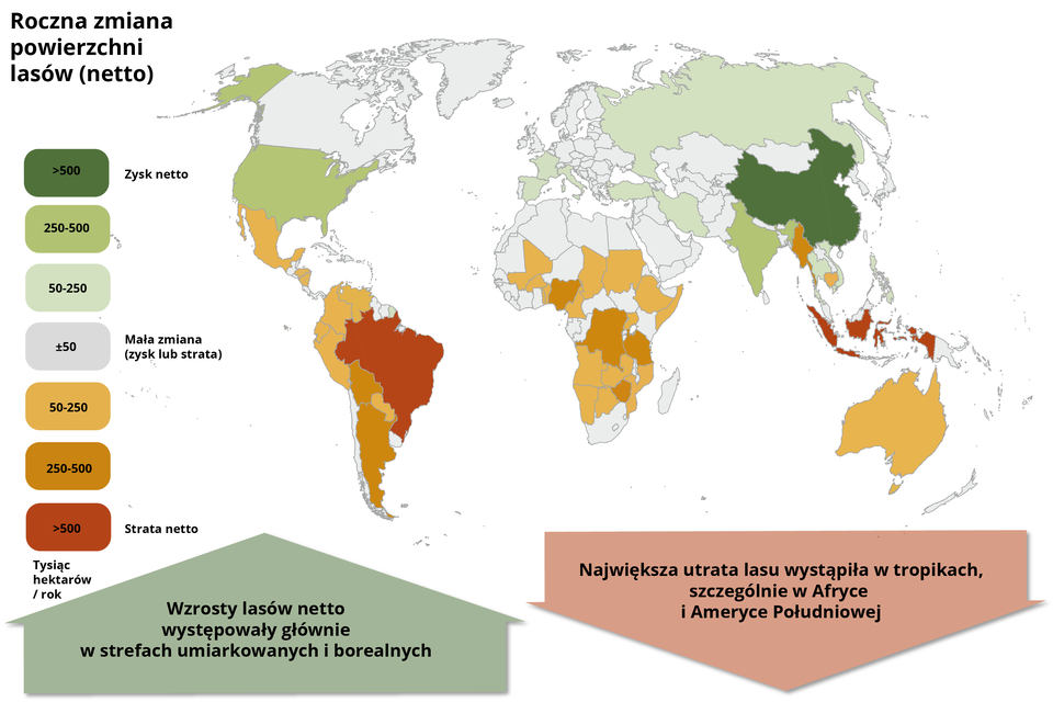 Mapa przedstawia roczną zmianę powierzchni lasów netto, w jednostce tysiąc hektarów na rok. Zysk netto powyżej 500 oznaczono na mapie świata w Chinach. Zysk netto 250 - 500 oznaczono w krajach: USA, Alaska, Indie.  Zysk netto 50 - 250 oznaczono w krajach: Hiszpania, Francja, Włochy, Rosja, Tajlandia, Iran i Turcja. Zysk netto około 50, mała zmiana, zysk lub strata, oznaczono w krajach: Kanada, większości krajów Europy Północnej, środkowej i wschodniej, krajów Afryki Północnej, Środkowej i Południowej, krajów środkowej i wschodniej Azji i Indonezji, kilku krajów Ameryki Południowej w północnej jej części. Stratę netto 50 - 250 oznaczono w krajach: Meksyk, kraje Ameryki Południowej w jej zachodniej części, większość krajów Afryki Środkowej i Południowej, Australia i Bangladesz. Stratę netto 250 - 500 oznaczono w krajach: Argentyna, Boliwia, kilka krajów Afryki Środkowej i Birma. Stratę netto powyżej  500 oznaczono w krajach: Brazylia i kilka krajów Indonezji. Wzrosty lasów netto występowały głównie w strefach umiarkowanych i borealnych. Największa utrata lasu wystąpiła w tropikach, szczególnie w Afryce i Ameryce Południowej. 