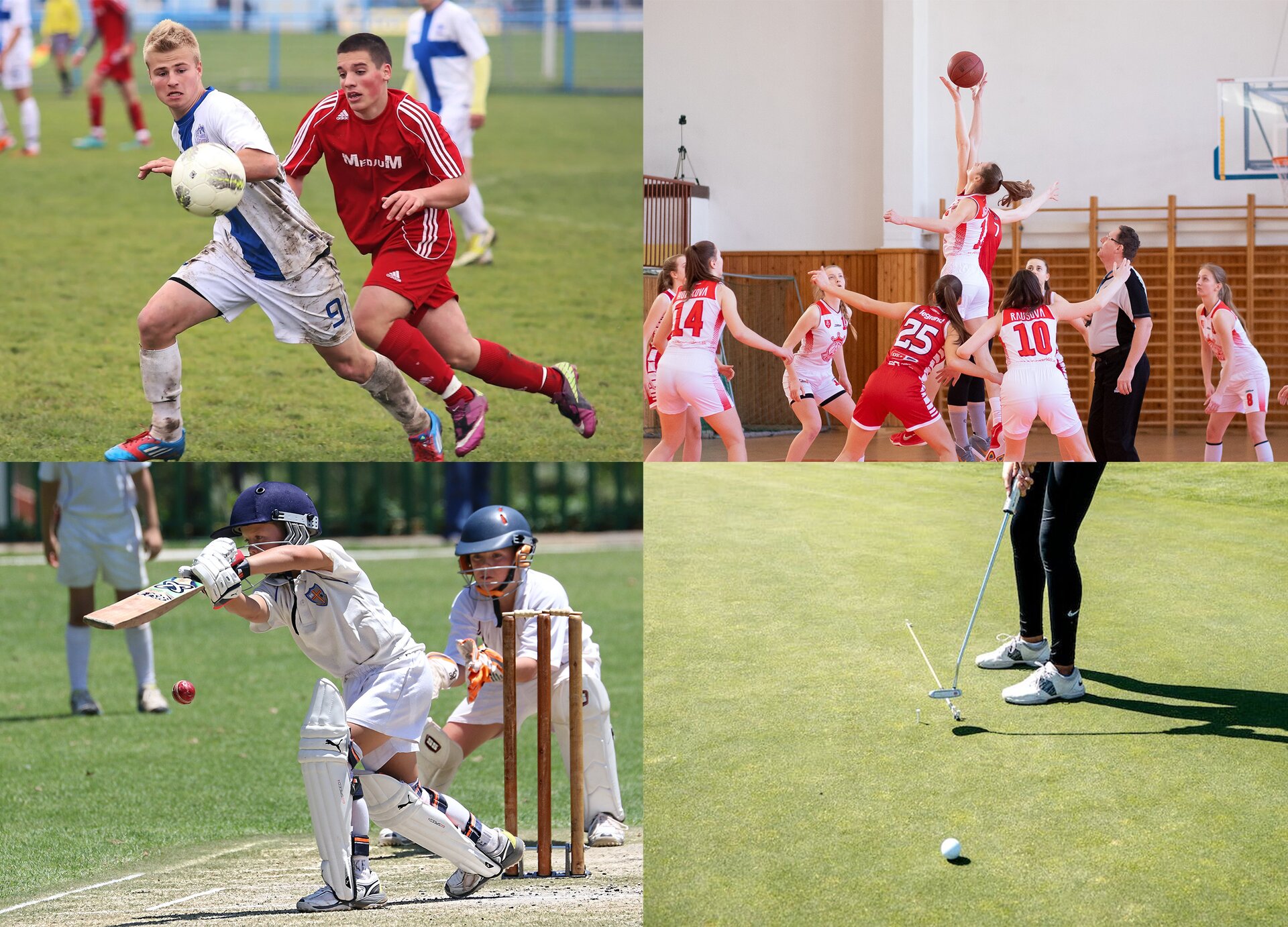 Grafika zawiera cztery zdjęcia przedstawiające różne dyscypliny sportowe. Od góry z lewej widoczna jest gra w piłkę nożną, następnie boisko, na którym drużyny kobiet grają w koszykówkę. Zdjęcie na dole od lewej ukazuje zawodników krykieta, na ostatnim widoczna jest osoba na polu golfowym. 