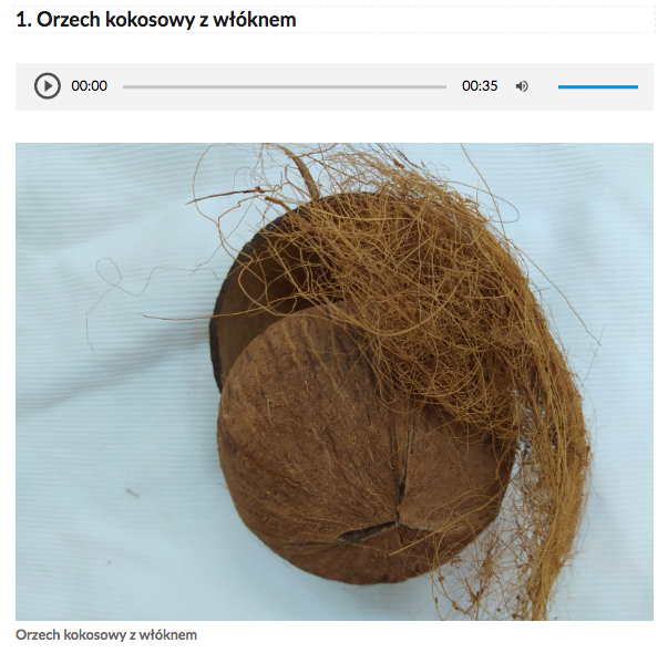 Grafika przedstawia przykładowy widok jednego z zagadnień w galerii. Składa się on z tytułu, odtwarzacza nagrania lektorskiego oraz zdjęcia orzecha kokosowego z opisem. 
