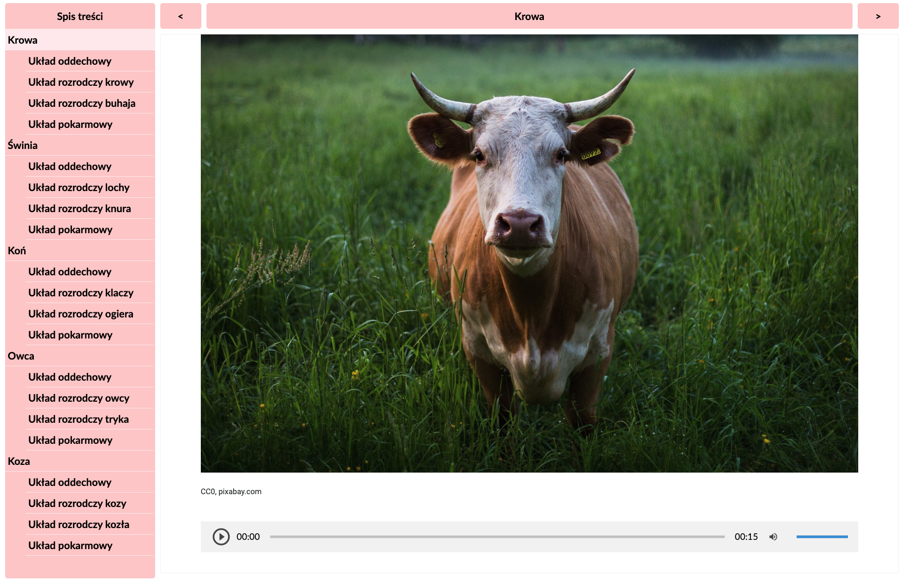 Grafika przedstawia widok atlasu anatomicznego. Po lewej stronie widoczne jest różowe pole z listą ilustracji, które przedstawiają główne narządy i układy w organizmie zwierząt hodowlanych. Na środku atlasu widnieje grafika przedstawiająca krowę. Na samej górze umieszczone są pasek z tytułem wyświetlanej ilustracji oraz strzałki do przełączania prawo/lewo.