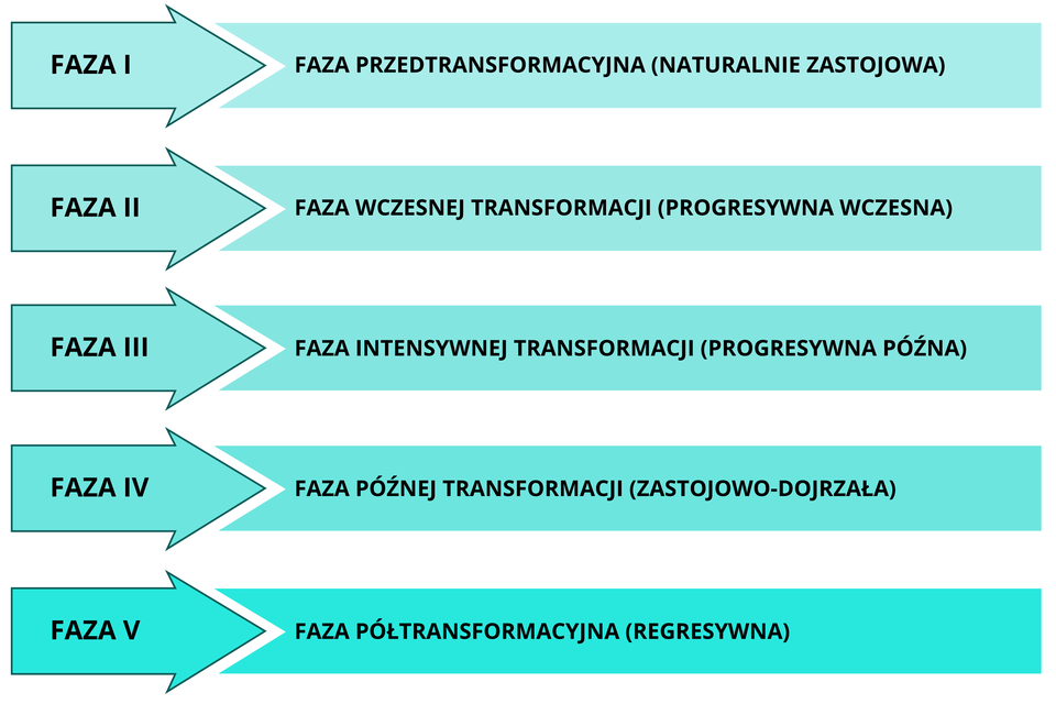 Schemat przedstawia fazy rozwoju demograficznego. Faza pierwsza to faza przedtransformacyjna (naturalnie zastojowa). Faza druga to faza wczesnej transformacji (progresywna wczesna).  Faza trzecia to faza intensywnej transformacji (progresywna późna). Faza czwarta to faza później transformacji (zastojowo‑dojrzała). Faza piąta to faza półtransformacyjna (regresywna).