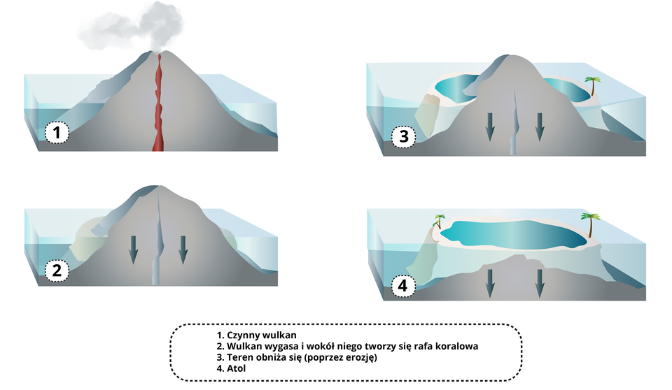 Ilustracja przedstawia cztery obrazki - wzniesienia w kształcie stożków. Obrazek numer 1 przedstawia czynny wulkan. Pionowo przez środek wulkanu biegnie komin - jest zaznaczony kolorem czerwonym. Obrazek numer 2 przedstawia wulkan, który wygasa, a wokół niego tworzy się rafa koralowa. Obrazek numer trzy ukazuje obniżanie się terenu z rafą koralową. Na obrazku numer cztery pozostał tylko atol. Wulkan znajduje się pod powierzchnią wody.   