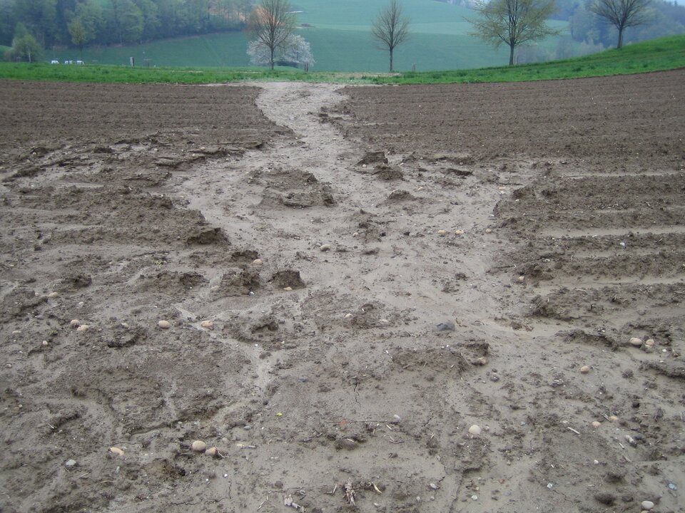 Na zdjęciu widoczna jest erozja powierzchniowa na polu uprawnym. Zmywa ona cienką warstwę gleby na dużej powierzchni. W oddali widoczne inne pola uprawne i las.