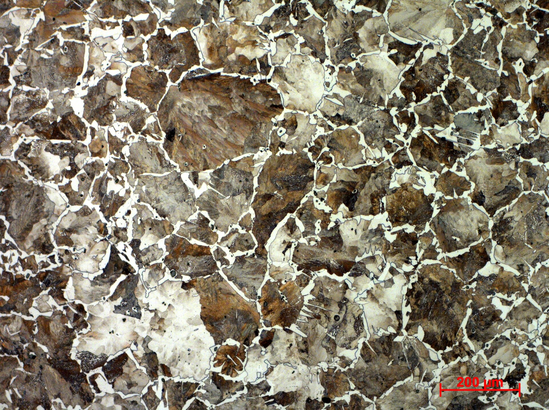 Stop o zawartości węgla 0,6%
 Struktura ferrytyczno‑perlityczna, siatka jasno trawiących się ziaren ferrytu i ciemne ziarna perlitu - powiększenie 10x 