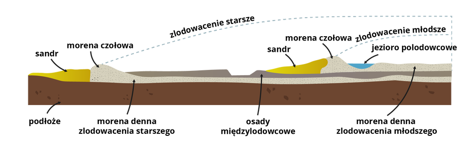 Grafika przedstawia układ form rzeźby glacjalnej. Od lewej strony na podłożu znajduje się sandr, morena czołowa, morena denna zlodowacenia starszego, osady międzylodowcowe. Na tych osadach powstały kolejne sandry, morena czołowa, jezioro polodowcowe i morena denna zlodowacenia młodszego.