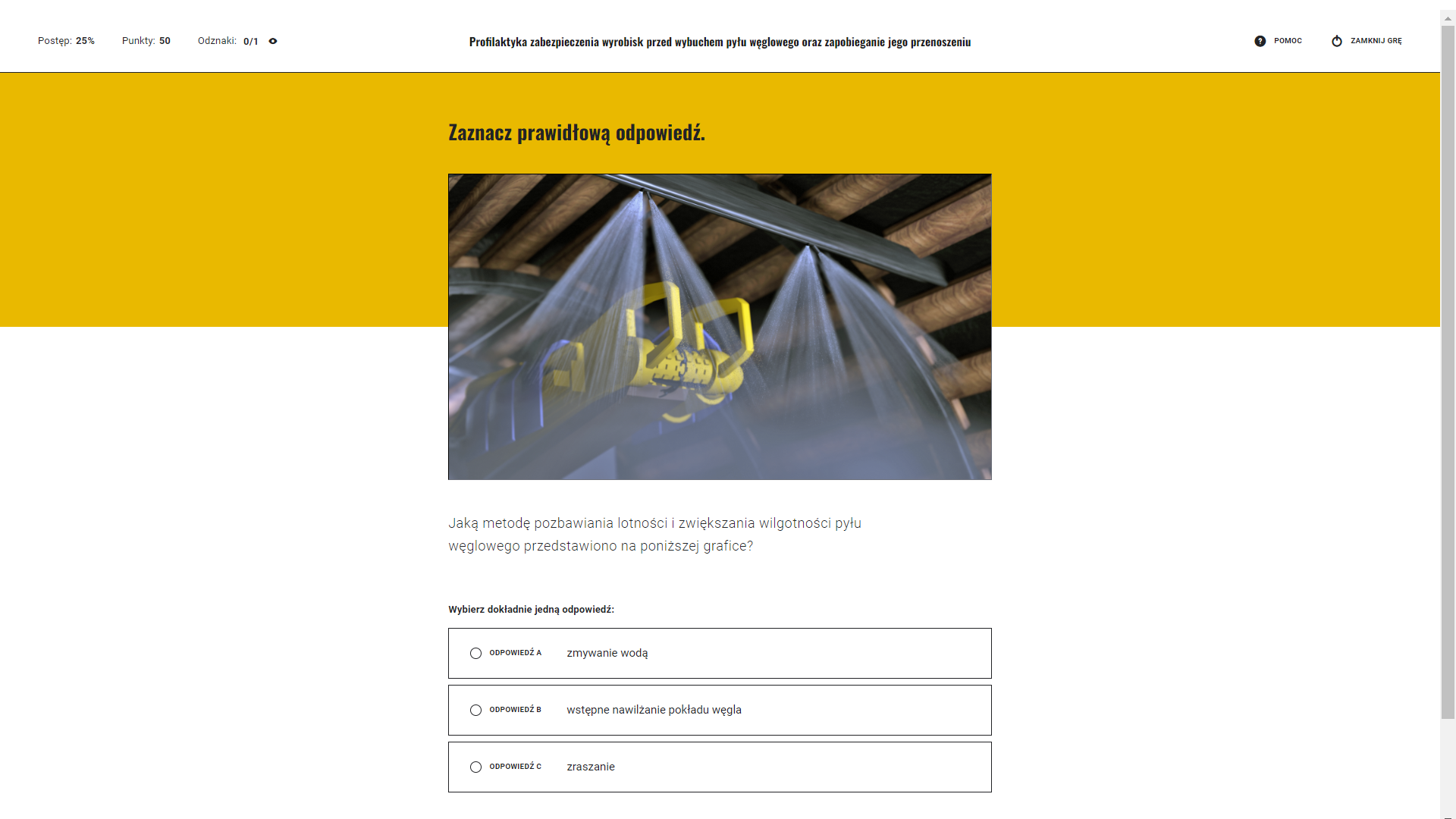 Przykładowe pytanie