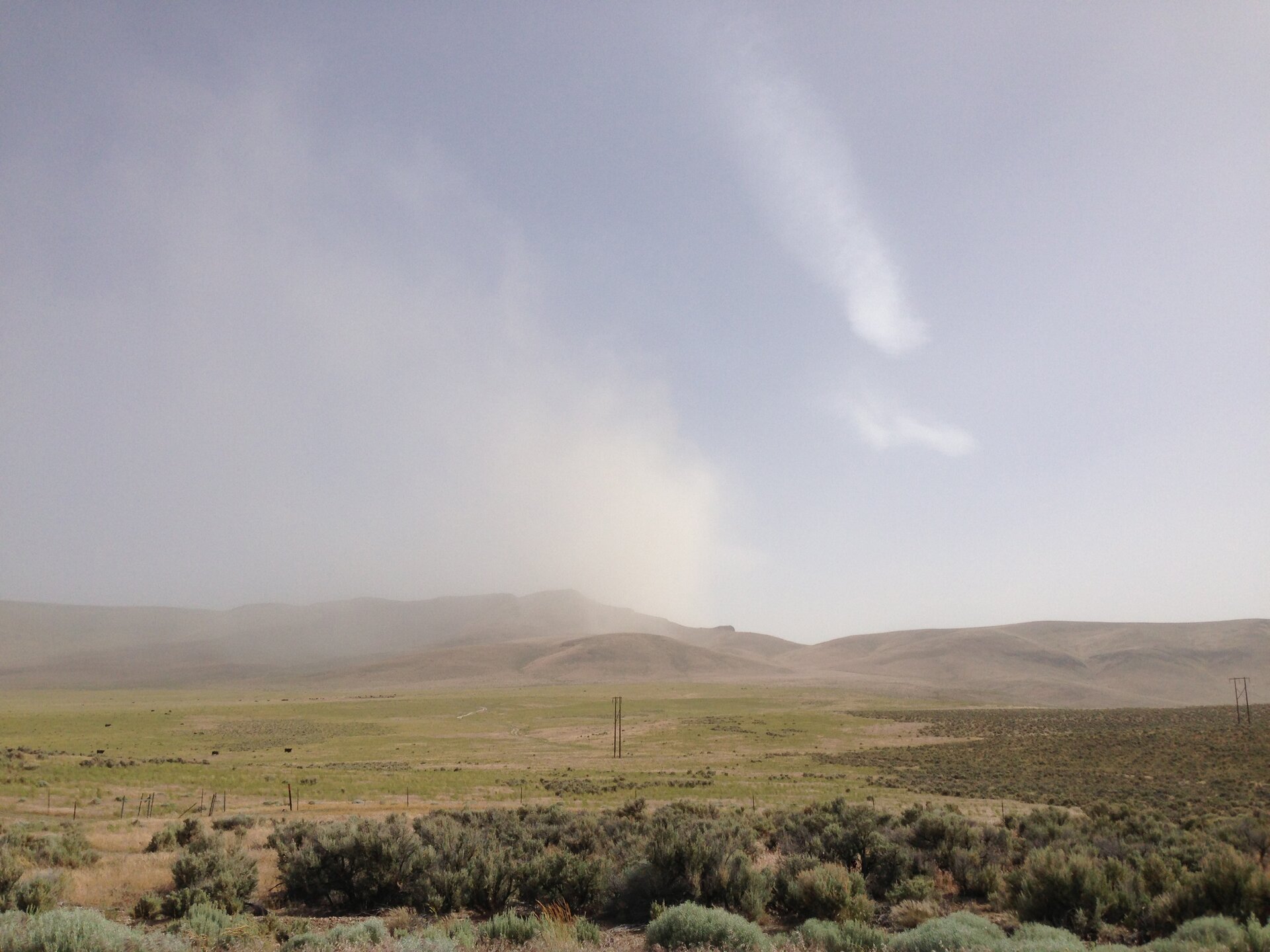 Na zdjęciu łąka od lewej strony porośnięta krótką roślinnością trawiastą a od prawej krzaczastą. W oddali teren pagórkowaty. Z oddali niesie się chmura pyłu.