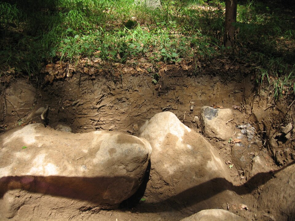 Zdjęcie prezentuje profil gleby. Na powierzchni rosną drobne rośliny zielne. Pod nimi znajduje się bardzo cienka warstwa czarnej ziemi, a następnie szersza, ale również dość płytka warstwa ziemi ciemnobrązowej. Pod nią są wielkie jasnokremowe głazy.
