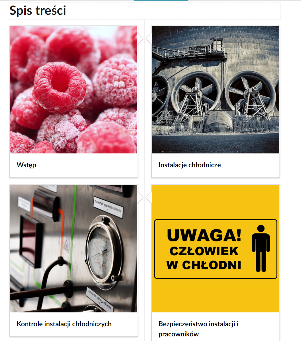 Grafika przedstawia cztery kafelki ze spisu treści. Są umiejscowione obok siebie, dwa na górze i dwa poniżej. Mają kwadratowy kształt. Pierwsza ilustracja przedstawia zamrożone maliny. Na dole widnieje podpis: Wstęp. Druga przedstawia duży budynek z trzema dużymi wentylatorami. Na dole widnieje podpis: Instalacje chłodnicze. Trzecia przedstawia urządzenia pomiarowe, m.in. okrągły zegar ze wskazówką. Na dole widnieje podpis: kontrole instalacji chłodniczych. Na czwartej przedstawiono tablicę ostrzegawczą: na żółtym tle znajduje się czarna figura człowieka i napis Uwaga! Człowiek w chłodni. Na dole widnieje podpis: bezpieczeństwo instalacji i pracowników.
