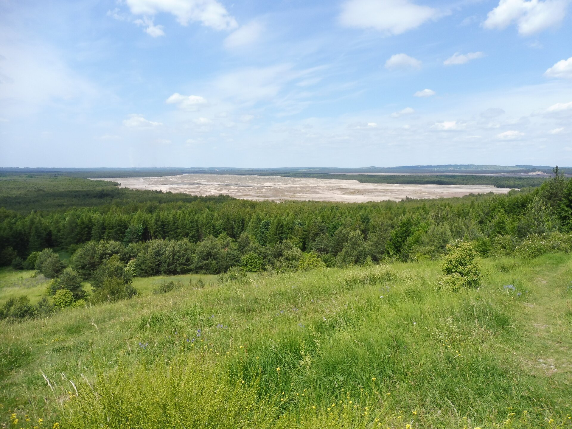 Zdjęcie wykonane z wzniesienia pokrytego trawą. Na drugim planie rozległa panorama lasu iglastego. Pośrodku lasu teren piaszczystej pustyni, brak roślin.