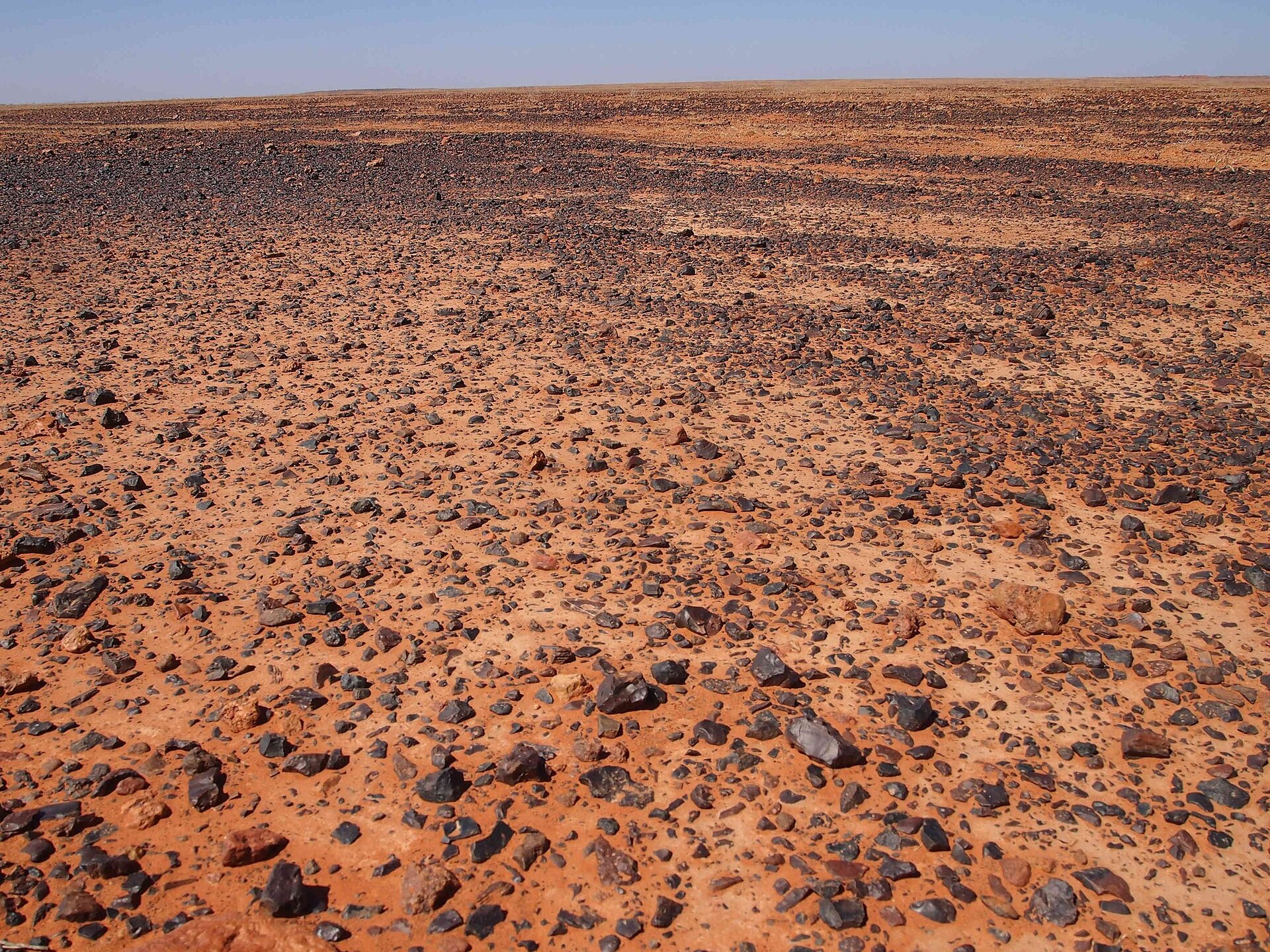 Na zdjęciu pustynia rozciągająca się na ogromnym, płaskim obszarze. Piasek ma kolor pomarańczowy. Leży na nim dużo niewielkich, szarych kamieni o nieregularnych kształtach.
