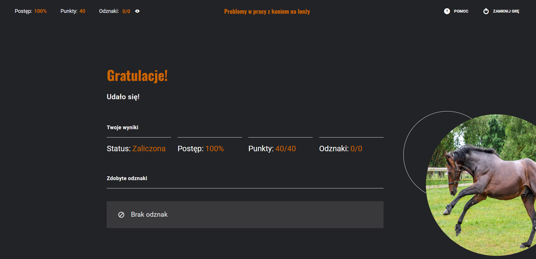 Widok planszy z punktacją. Na czarnym tle znajdują się takie napisy jak: Status: Zakończona, Postęp 100 procent, Punkty 40 na 40, Odznaki zero na zero. Po prawej w kółku widać zdjęcie konia podnoszącego przednie kopyta.