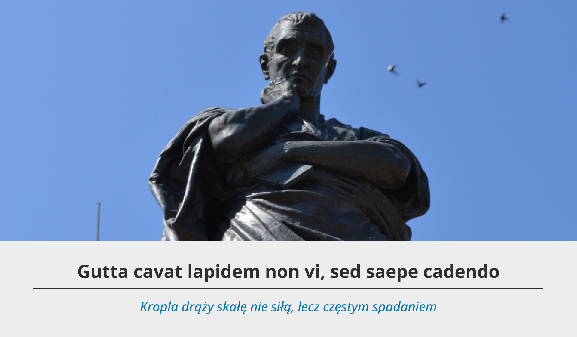 Rzeźba przedstawia pomnik Owidiusza, który został ukazany jako mężczyzna w średnim wieku, o krótkich włosach. Boki głowy ma krótko przycięte, grzywka jest dłuższa, opada mu na czoło. Spogląda ze spokojem w dół. Ubrany jest w długą szatę, w jednej dłoni trzyma tabliczkę, a drugą opiera o policzek. Rzeźba stoi na zewnątrz. Fotografia została w jasny i pogodny dzień. Pod ilustracją szare tło, a na nim dwa teksty – jeden czarny w języku łacińskim oraz niebieski w języku polskim. Tekst po łacinie brzmi: Gutta cavat lapidem non vi, sed saepe cadendo. Pod spodem tłumaczenie w języku polskim: Kropla drąży skałę nie siłą, lecz częstym spadaniem.