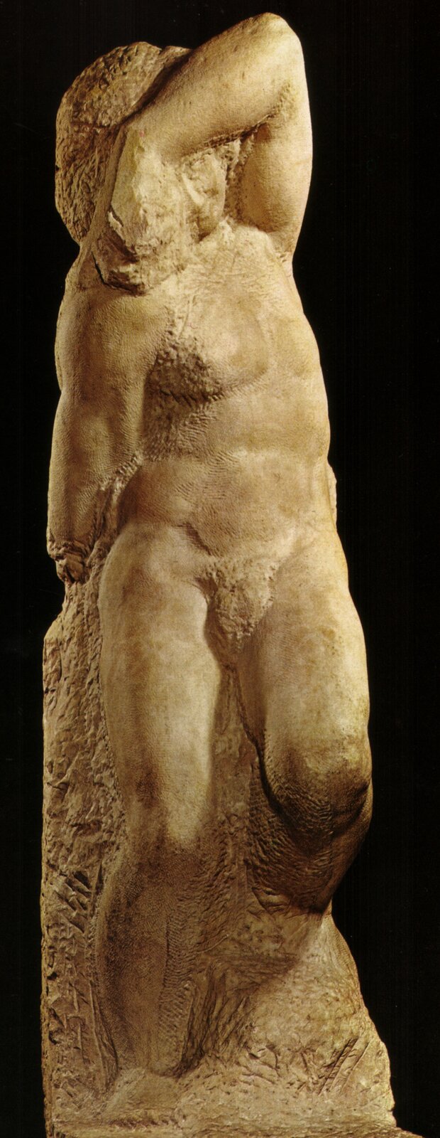 Niedokończona marmurowa rzeźba przedstawiająca nagiego, muskularnego młodzieńca wyłaniającego się z surowego bloku kamienia. Postać stoi w lekkim skręcie, z jedną ręką uniesioną i zgiętą za głową, jakby próbowała uwolnić się z marmurowej bryły. Gładko opracowane partie tułowia i nóg kontrastują z chropowatą, nieociosaną powierzchnią kamienia po bokach i z tyłu. Widoczne ślady dłuta podkreślają wrażenie zmagania się ciała z materią.