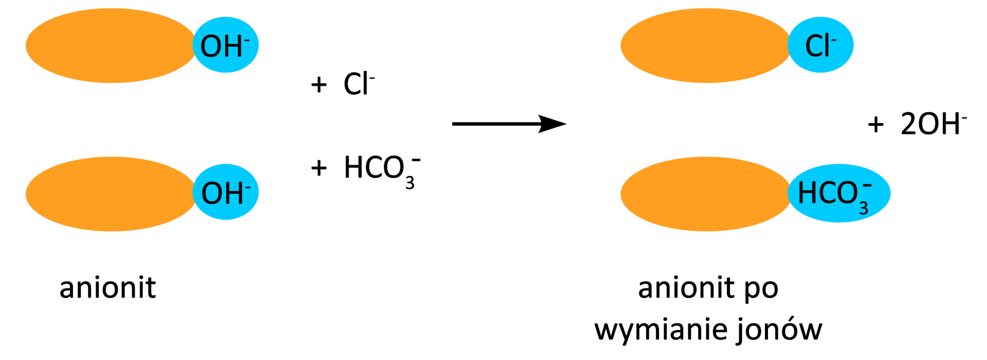 Ilustracja przedstawia schemat działania anionitów. Po lewej stronie równania zamieszczono dwie cząsteczki anionitu, złożonego z dużej pomarańczowej elipsy symbolizującej dalszy fragment struktury, do której przylega niebieska kulka reprezentująca anion wodorotlenowy OH-. Dodać anion wodorowęglanowy HCO3-, dodać anion chlorkowy Cl-. Strzałka w prawo, za strzałką anionit po wymianie jonów, do pierwszej pomarańczowej elipsy przylega niebieska kulka reprezentująca anion chlorkowy Cl-, a do drugiej, również niebieska kulka, która odpowiada anionowi wodorowęglanowemu HCO3-. Dodać dwa aniony wodorotlenowe OH-.