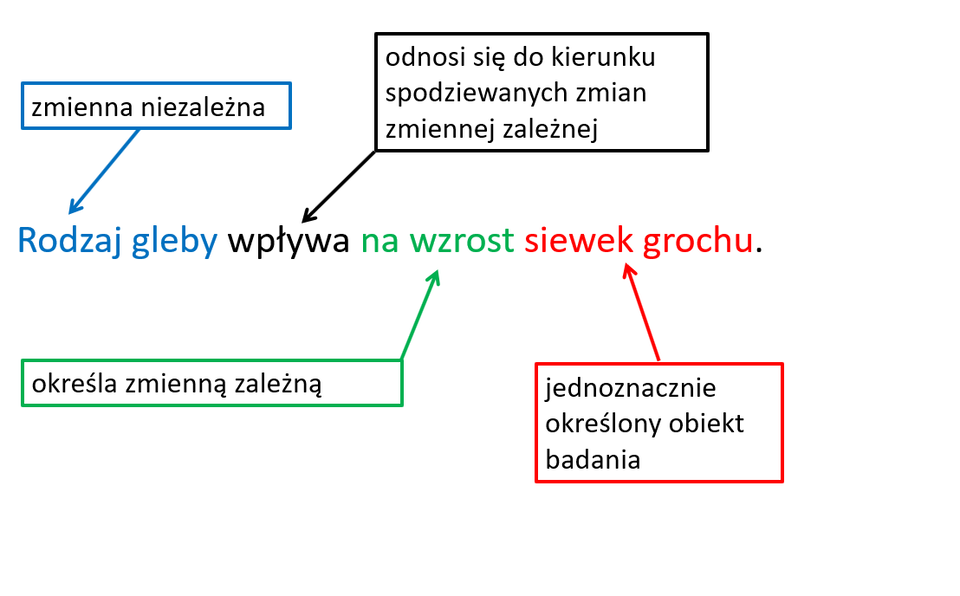 Grafika przedstawia analizę hipotezy badawczej: „Rodzaj gleby wpływa na wzrost siewek grochu”. Zdanie to zostało podzielone na elementy odpowiadające podstawowym składnikom pytania badawczego w biologii. „Rodzaj gleby” to zmienna niezależna – czynnik, który badacz celowo zmienia, aby sprawdzić jego wpływ na inne właściwości. Sformułowanie „wpływa” odnosi się do kierunku spodziewanych zmian zmiennej zależnej, sugerując istnienie zależności przyczynowo‑skutkowej. „Na wzrost” to zmienna zależna – cecha, którą się mierzy i która może ulegać zmianie pod wpływem badanego czynnika. „Siewek grochu” to obiekt badania – organizmy, na których przeprowadzany jest eksperyment. Całość służy zrozumieniu, jak konstruować hipotezę i jak rozróżniać elementy doświadczenia biologicznego: zmienną niezależną, zależną, kierunek wpływu i obiekt badania.
