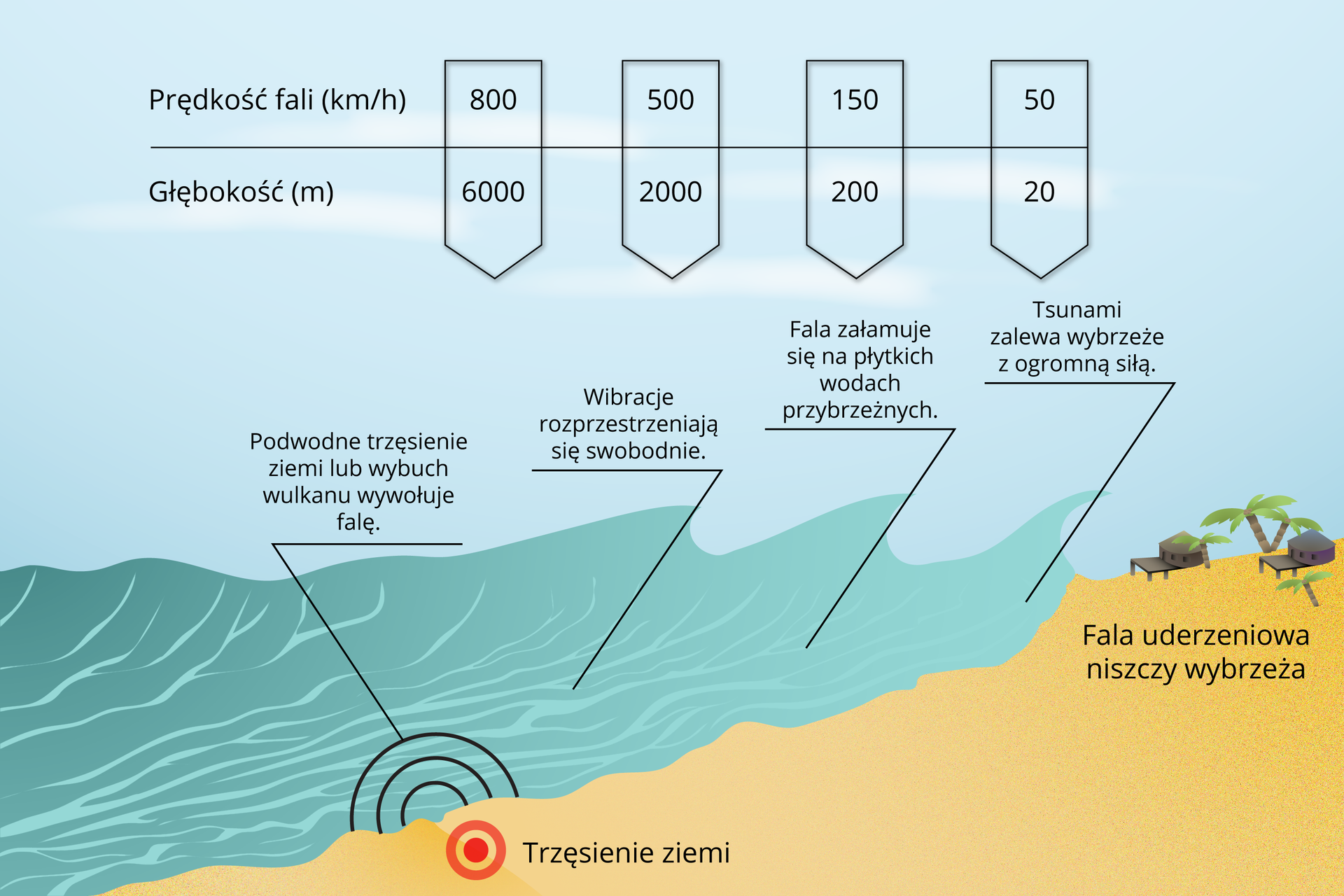 Grafika przedstawia prędkości fali. Najpierw podwodne trzęsienie ziemi lub wybuch wulkanu wywołuje falę. Ma ona prędkość 800 kilometrów na godzinę oraz znajduje się na głębokości 6000 metrów. Następnie wibracje rozprzestrzeniają się swobodnie. Fala ma prędkość 500 kilometrów na godzinę i znajduje się na głębokości 2000 metrów. Fala załamuje się na płytkich wodach przybrzeżnych. Ma prędkość 150 kilometrów na godzinę i znajduje się na głębokości 200 metrów. Tsunami zalewa wybrzeże z ogromną siłą. Ma prędkość 50 kilometrów na godzinę i znajduje się na głębokości 20 metrów. Fala uderzeniowa niszczy wybrzeża.