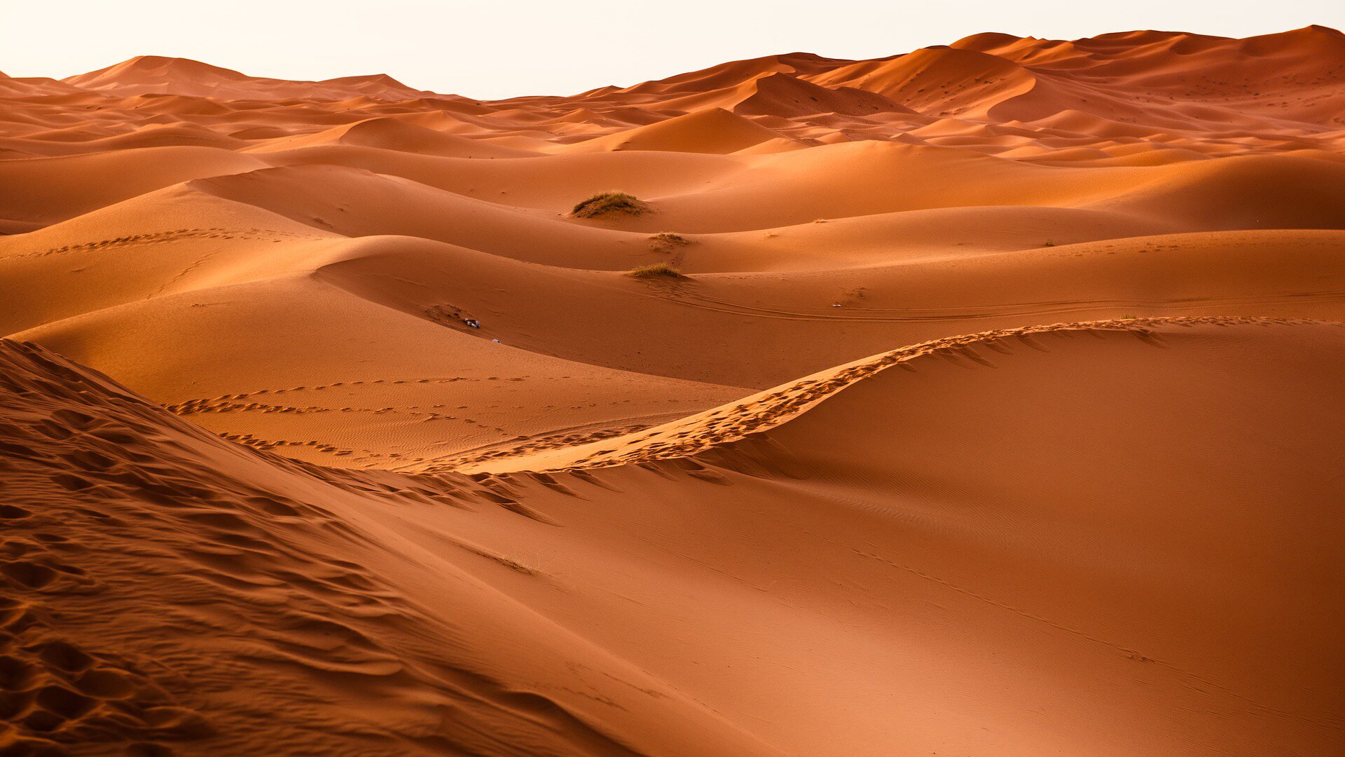 Zdjęcie przedstawia fragment pustyni piaszczystej. Po horyzont ciągną się duże piaszczyste wydmy.