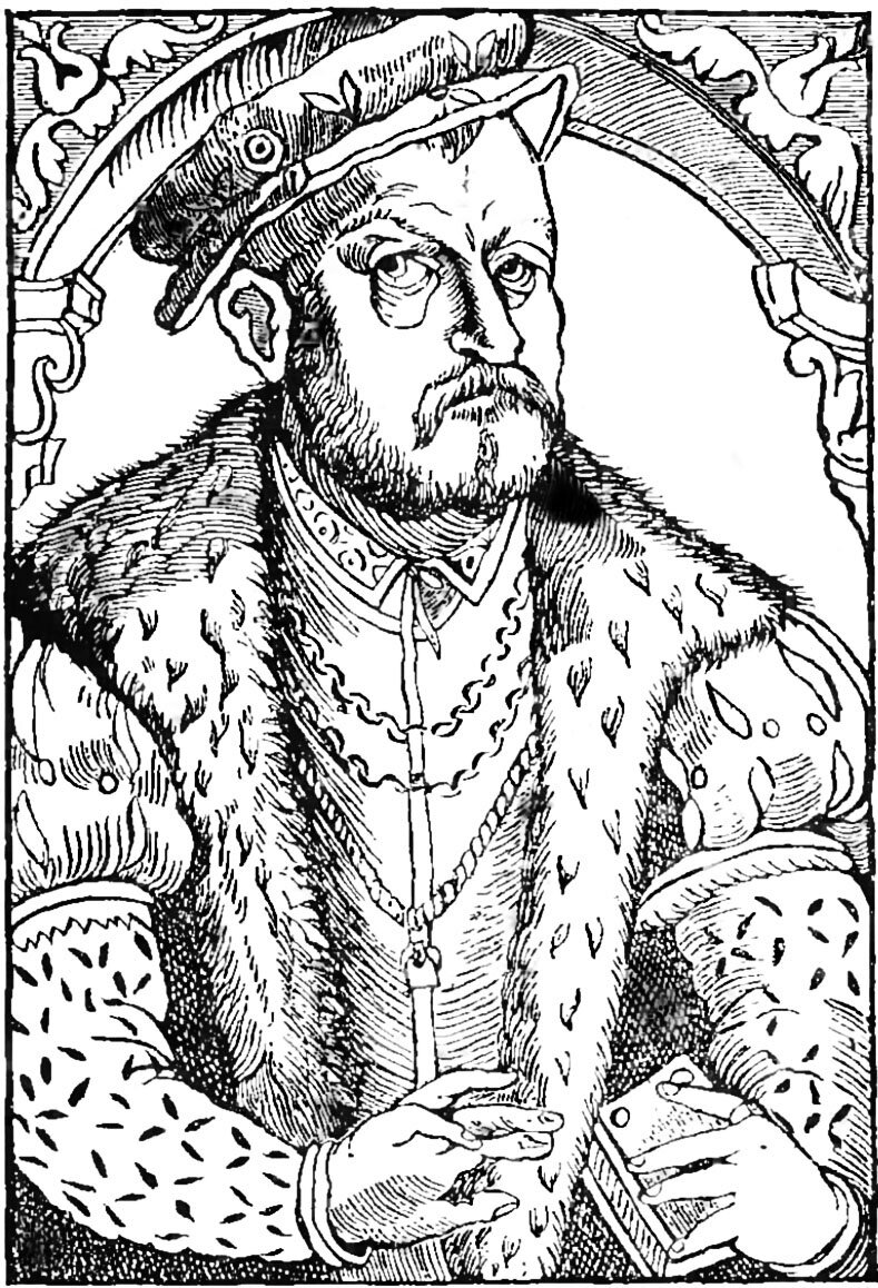 Drzeworyt przedstawia portret Mikołaja Reja w ujęciu do pasa. To mężczyzna w średnim wieku z brodą i wąsami. Jest ubrany bardzo strojnie, na kontusz ma zarzuconą szubę wykończoną futrem, na głowie ma płaski beret. Na szyi nosi łańcuchy. Na palcu wskazującym lewej dłoni ma sygnet. Trzyma w niej zamkniętą szkatułkę. W górnej części ilustracji jest dekoracyjne obramowanie.