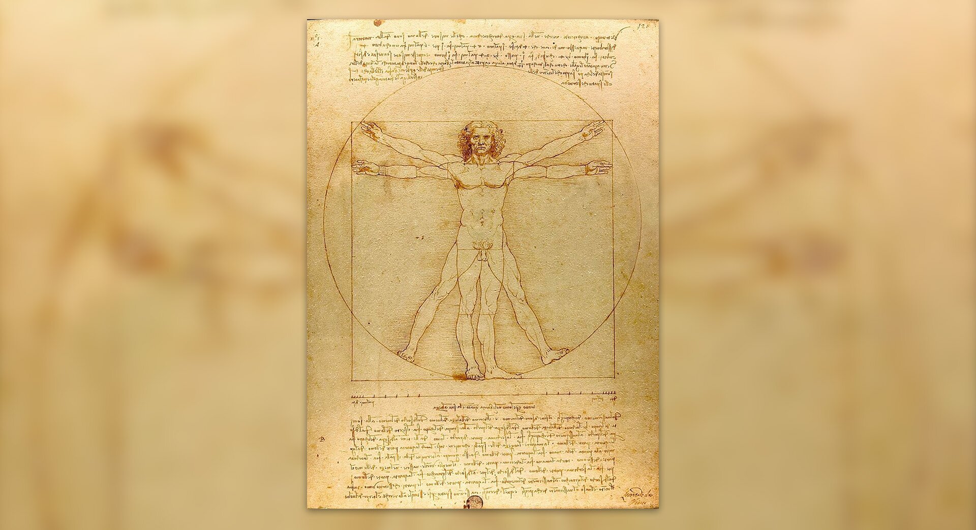 Rysunek, stworzony ołówkiem i atramentem na papierze, przedstawia figurę nagiego mężczyzny w dwóch nałożonych na siebie pozycjach, wpisaną w okrąg i kwadrat  „człowiek kwadratowy”. Rysunkowi towarzyszy tekst sporządzony tzw. pismem lustrzanym.