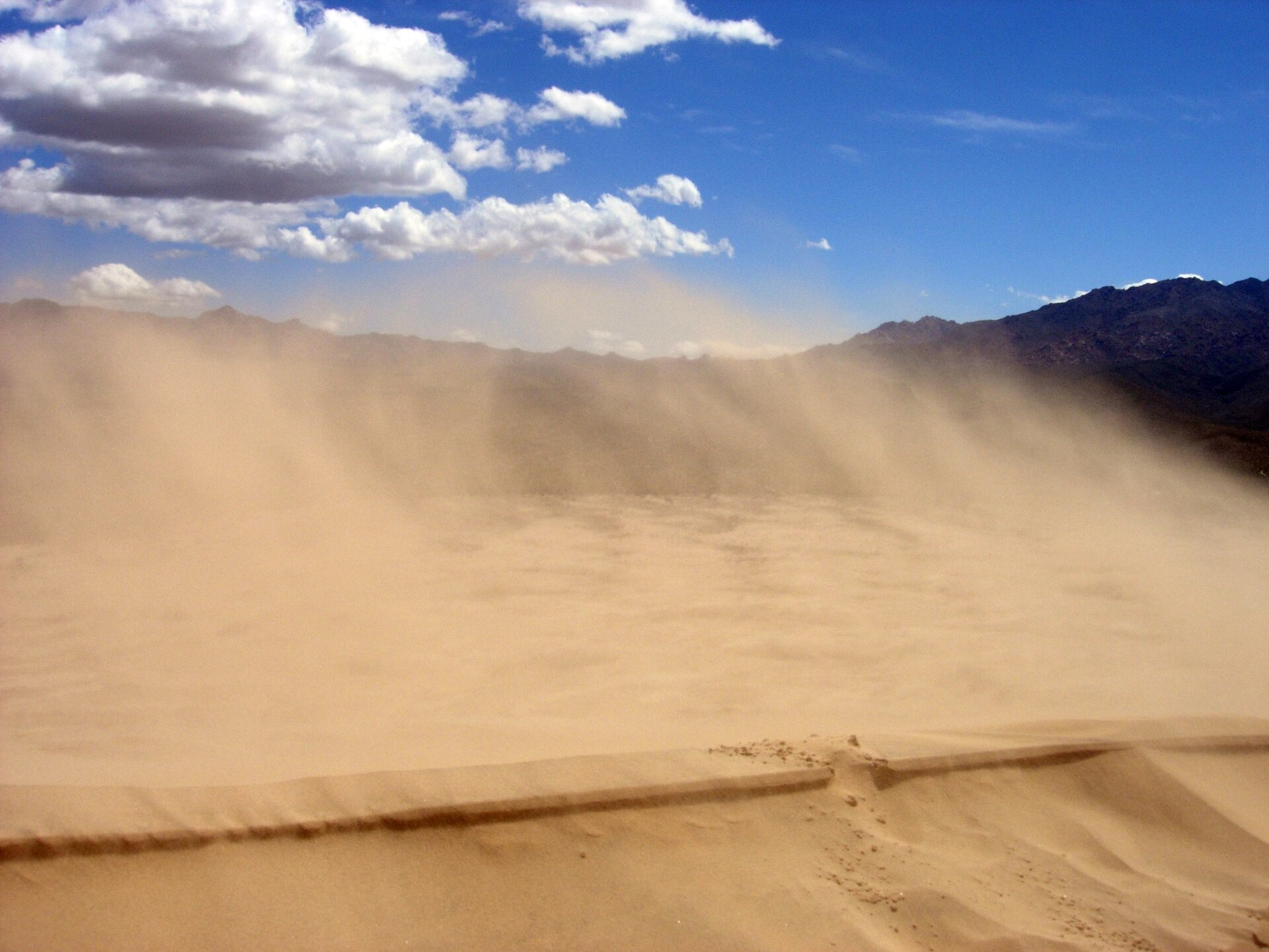 Zdjęcie ukazuje niewysokie piaszczyste zbocze. Unosi się nad nim piasek wywiewany przez wiatr. W tle widać fragment góry.  
