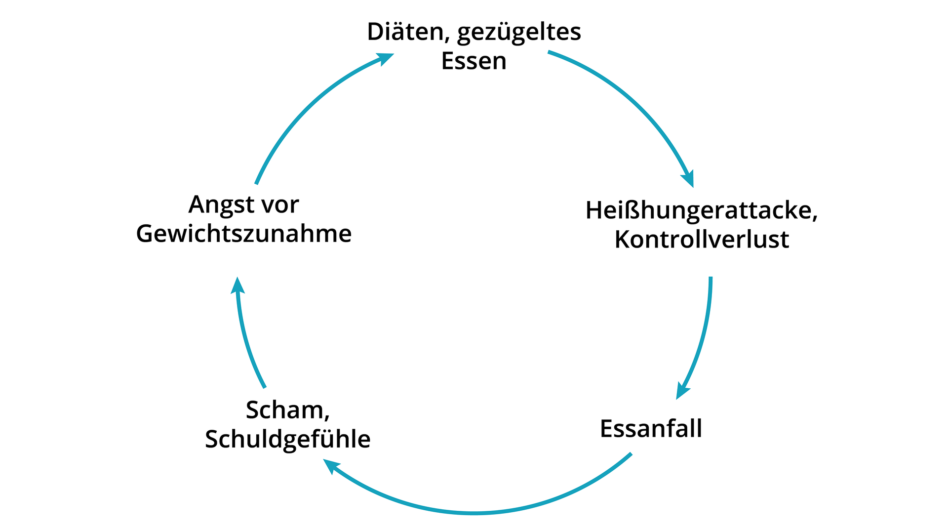 Na ilustracji przedstawiono cykl w postaci koła. Od każdego z pojęć wychodzi strzałka prowadząca dalej tak, aby stworzyć obrys okręgu. Napisy według ruchu wskazówek zegara, zaczynając od napisu na samej górze okręgu. Diäten, gezügeltes Essen. Heißhungerattacke, Kontrollverlust. Essanfall. Scham, Schuldgefühle. Angst vor Gewichtszunahme 