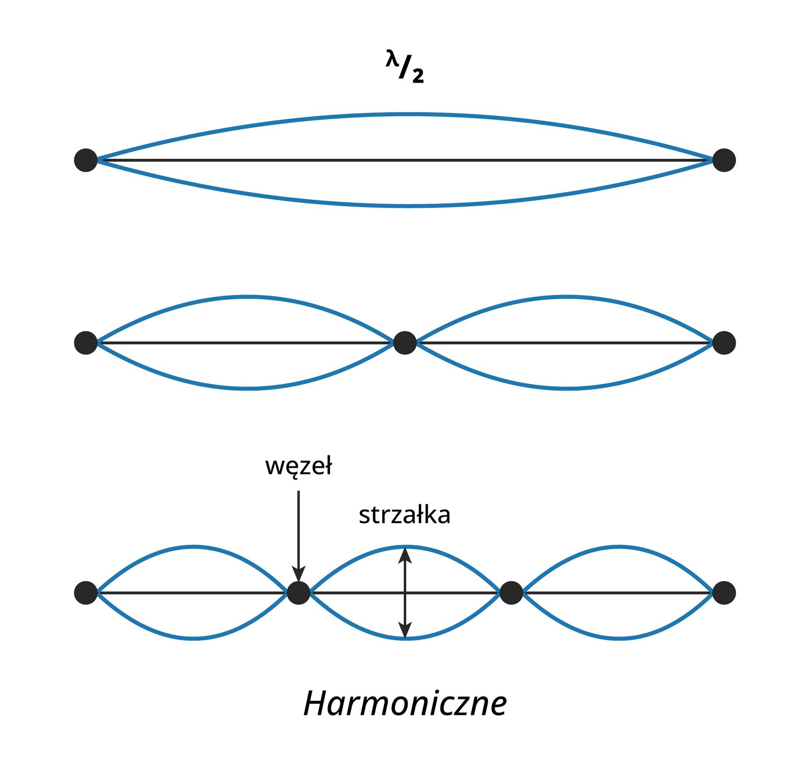 Na grafice przedstawione zostały drgania struny. Na białym tle narysowane są trzy schematy, jeden pod drugim. Na pierwszym od góry narysowana została poziomo czarna kreska na której obu końcach znalazły się duże czarne kropki. Zarówno nad, jak i pod czarną kreską znalazły się lekko wygięte, w symetryczny sposób niebieskie kreski. Nad pierwszym schematem umieszczono tekst: lambda podzielić na dwa. Na drugim schemacie również jest pozioma, czarna kreska na której obu końcach znalazły się duże czarne kropki, jednakże tutaj pośrodku jest jeszcze jedna, trzecia kropka, a między nimi przeplatają się w symetryczny sposób niebieskie kreski. Ostatni schemat wygląda bardzo podobnie, ale zamiast dwóch, czy trzech kropek, jest ich cztery. Tutaj także przeplatają się niebieskie kreski. Kropka została podpisana nazwą „węzeł”, a przestrzeń pomiędzy niebieskimi kreskami nazwana jest „strzałką”. Pod ostatnim schematem znajduje się słowo: harmoniczne.
