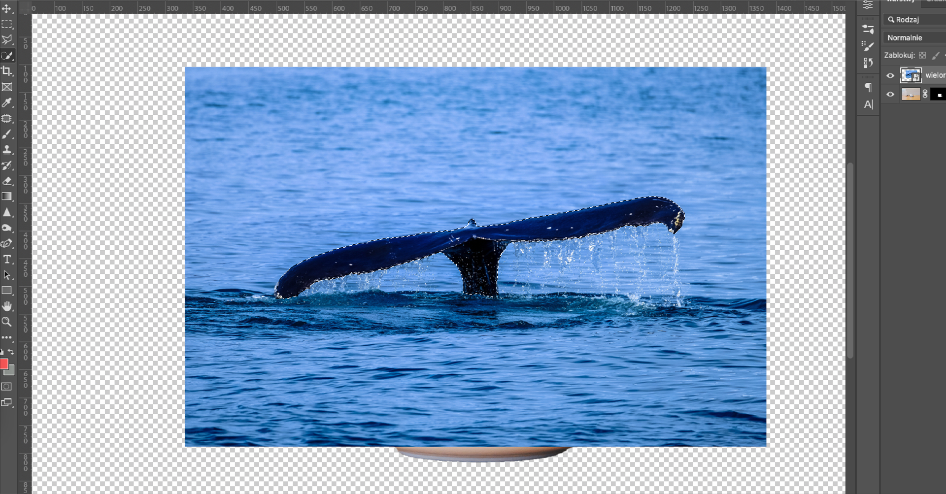 Ilustracja przedstawia okno programu. W obszarze edycji zdjęcia jest ogon wieloryba wynurzający się nad powierzchnię oceanu. Zdjęcie jest pomniejszone. 