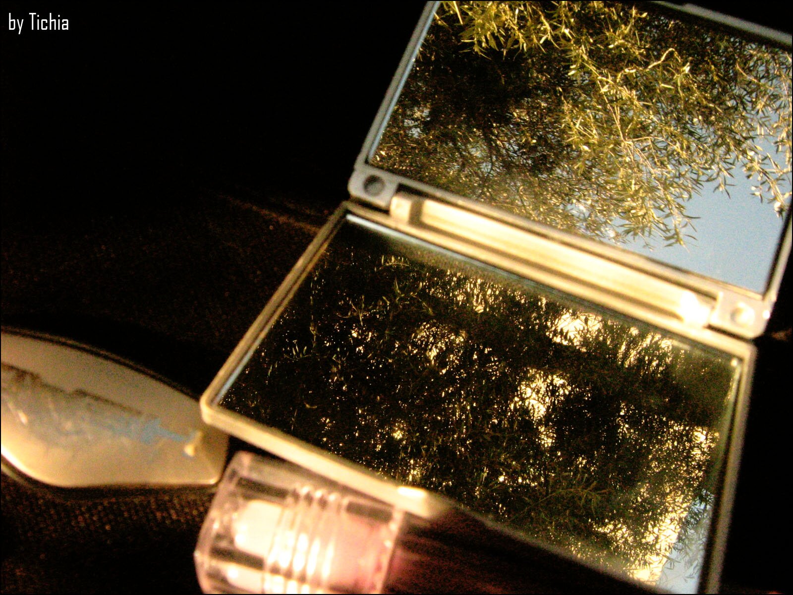 Zdjęcie przedstawia niewielkie, składane lusterko. Lusterko jest otwarte, a w obu jego częściach odbijają się gałęzie drzew na tle błękitnego nieba. Obszar poza lusterkiem jest ciemny,. Na czarnym tle drobny biały napis: by Tichia.