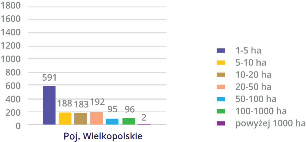 Przedstawiony jest diagram słupkowy obrazujący liczbę jezior o określonej powierzchni na Pojezierzu Wielkopolskim. Można z niego odczytać, że jest 591 jezior o powierzchni w przedziale 1‑5 hektarów, 188 o powierzchni 5‑10 hektarów, 183 o powierzchni 10‑20 hektarów, 192 o powierzchni 20‑50 hektarów, 95 o powierzchni 50‑100 hektarów, 96 o powierzchni 100‑1000 hektarów oraz 2 powyżej 1000 hektarów.