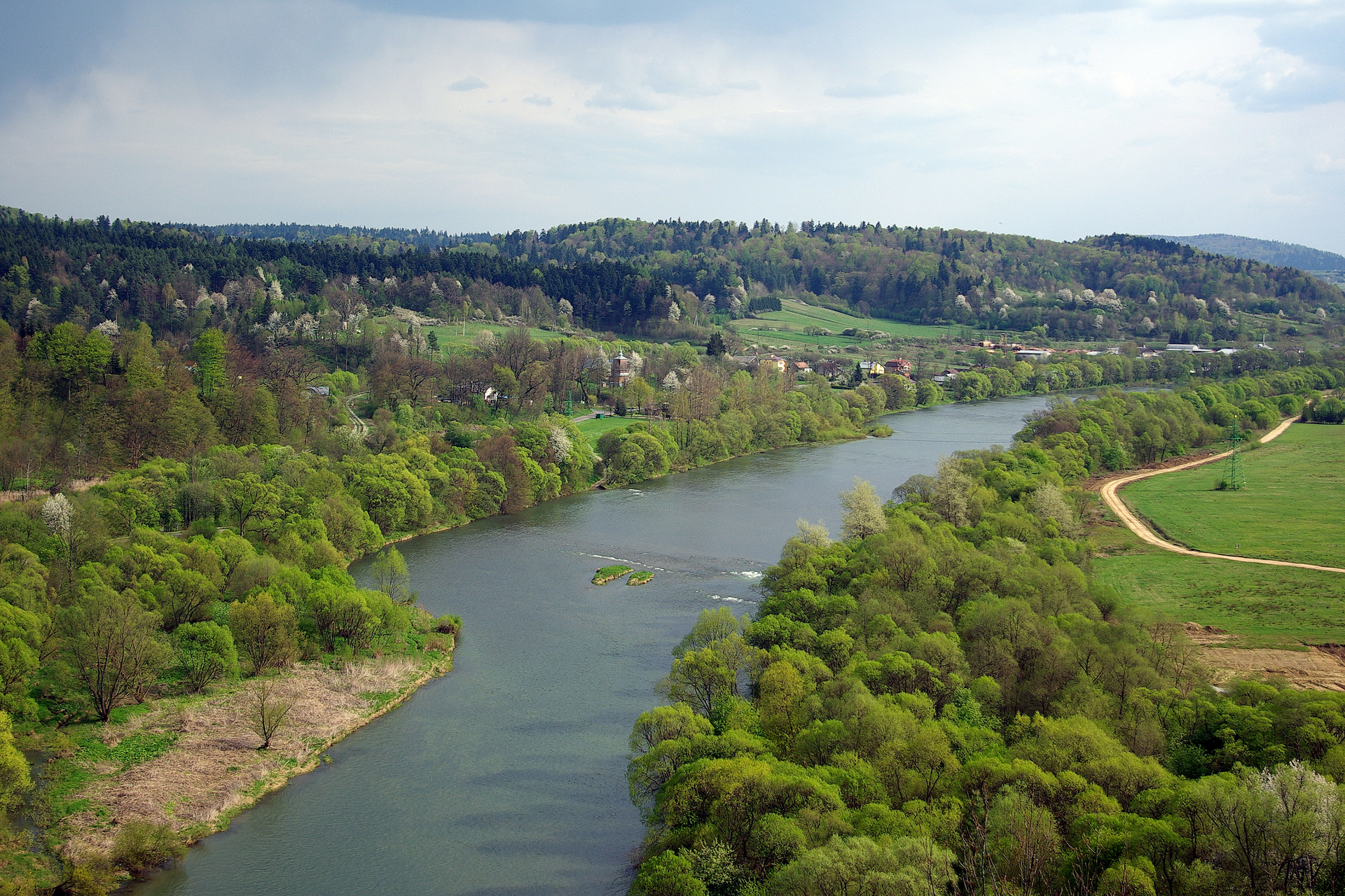 Fotografia przedstawia bieg środkowy rzeki, czyli rzeka ma szerokie koryto przecinające teren pagórkowaty.