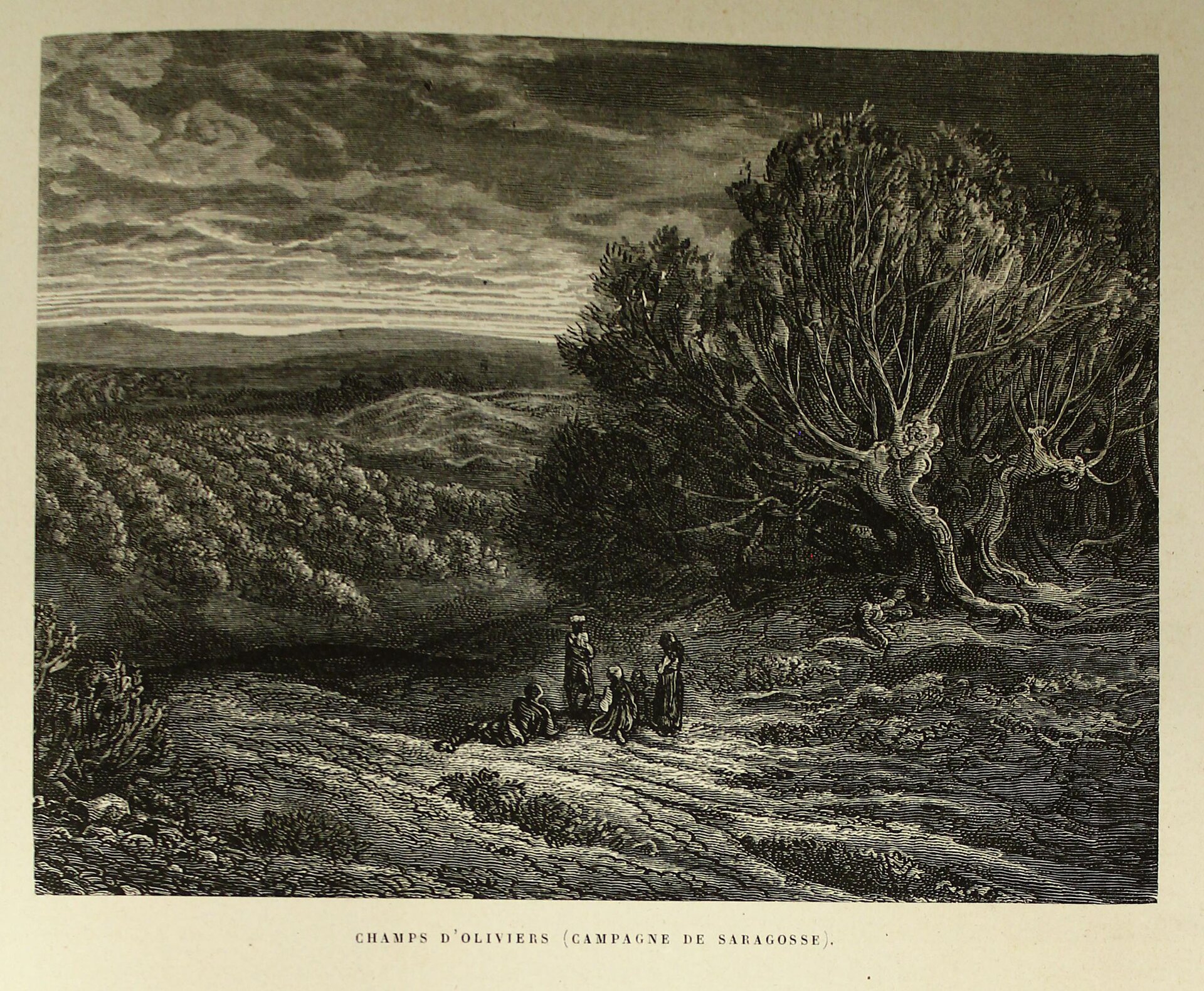 Obraz przedstawia teren, na którym rosną rozłożyste drzewa oliwne. Na pierwszym planie znajduje się czwórka osób> dwie siedzą, dwie stoją. Ludzie są na wzniesieniu. Patrzą przed siebie na porośniętą krzewami dolinę. W oddali pola, wzniesienia i zachmurzone niebo.