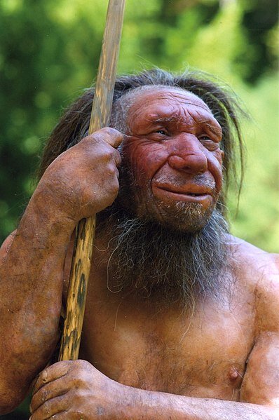 Ilustracja przedstawia Homo sapiens neanderthalensis. To mężczyzna o stosunkowo szerokiej głowie, ma szerokie usta, nieco spłaszczony duży nos. Ma dłuższe włosy, nosi brodę. Reszta ciała jest lekko owłosiona. Ma ciemniejszą karnację. Mężczyzna trzyma w rękach długi kij. 