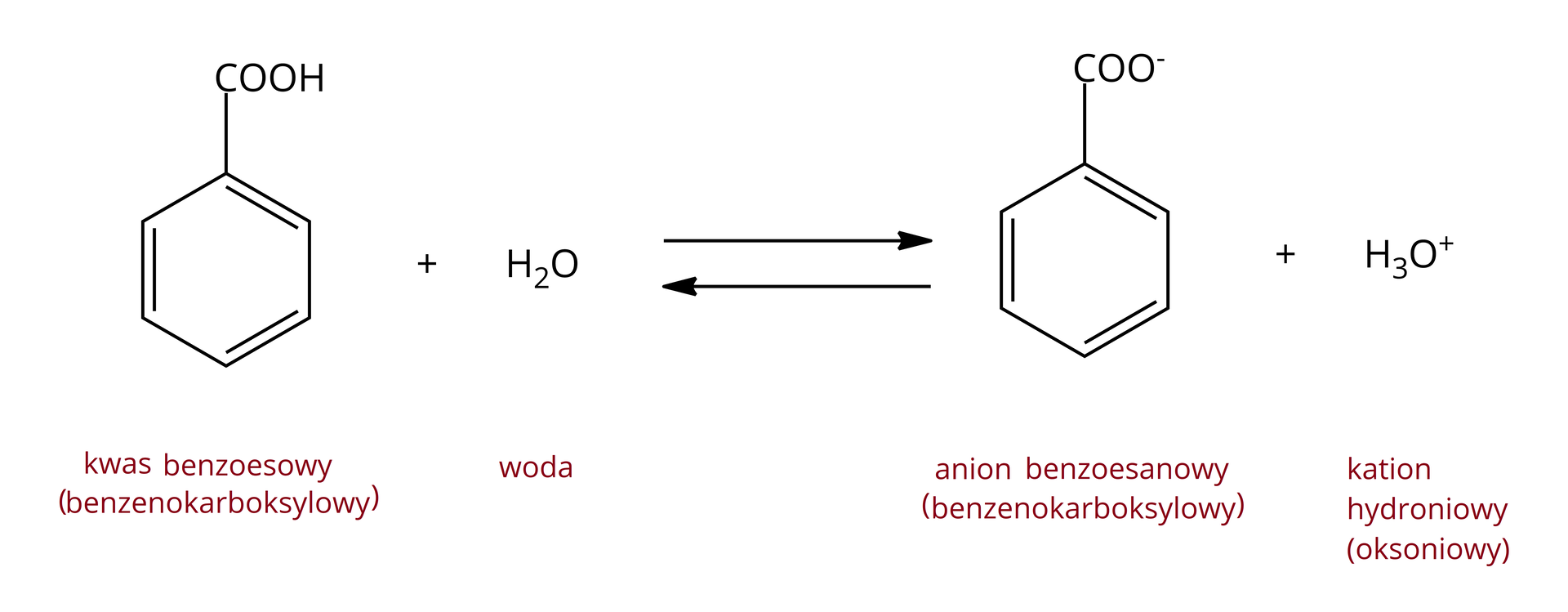 Ilustracja przedstawia wzór: jedna cząsteczka kwasu benzenokarboksylowego (benzoesowego) dodać jedna cząsteczka wody strzałki w dwie strony anion benzenokarboksylowy (benzoesanowy) dodać kation hydroniowy (oksoniowy).        