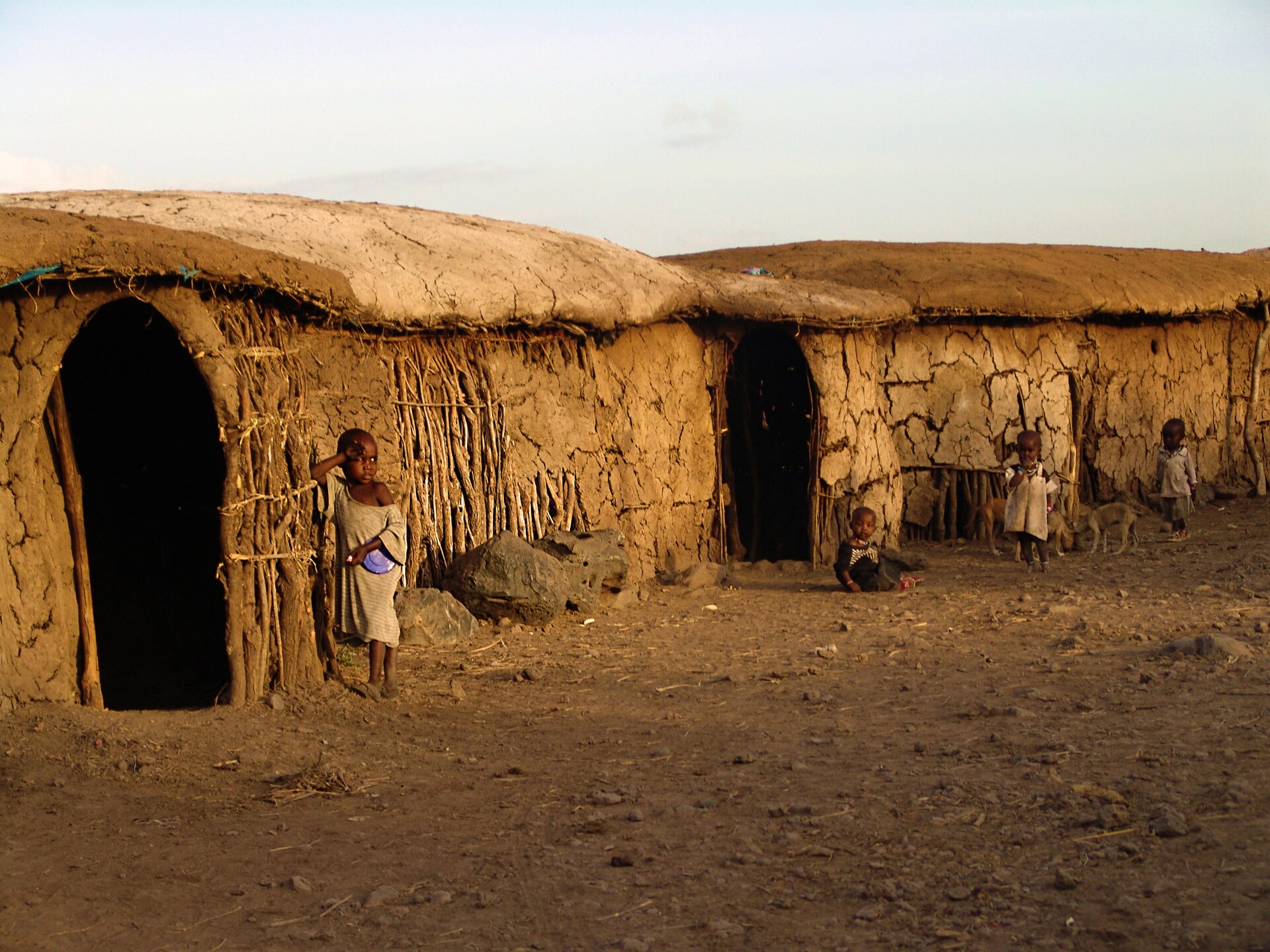 Fotografia prezentuje domy w wiosce masajskiej. Widoczne niskie, brązowe, budynki utworzone z patyków i błota. Z przodu znajdują się wejścia do domów, brak okien i drzwi. Przed budynkami stoją dzieci.