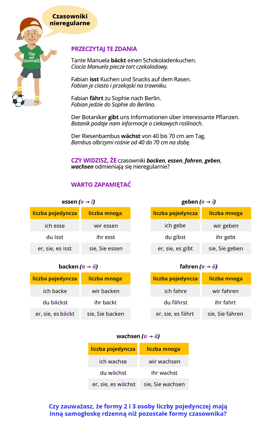 Ilustracja zawiera poradę językową.
Grafika przedstawia chłopca ubranego w zieloną bluzę z napisem Tipp zur Grammatik oraz w szare spodenki. Chłopiec mówi: Czasowniki nieregularne.
Pozostałą część ilustracji stanowi tekst, którego treść wyświetla się w trybie dostępności.