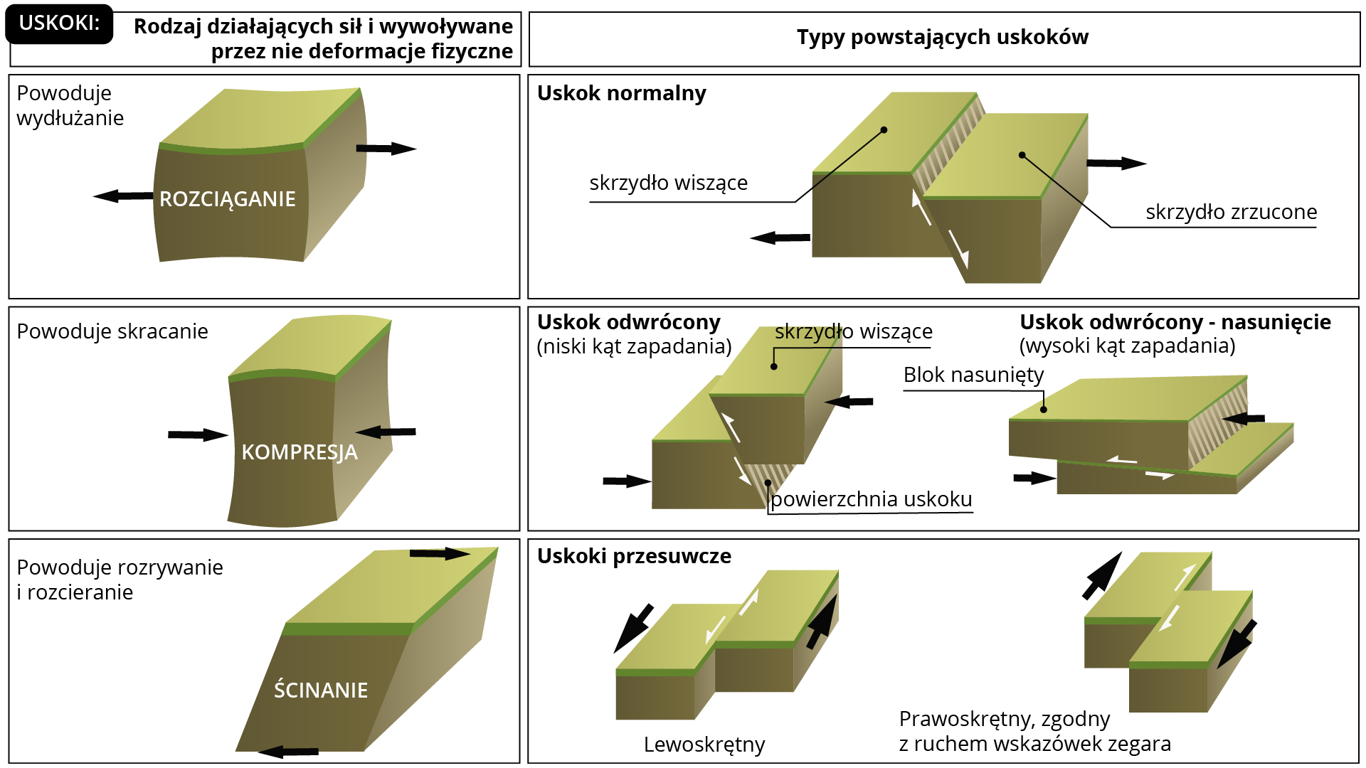 Ilustracja przedstawia typy uskoków. Wyróżniono rodzaje działających sił i wywołane przez nie deformacje fizyczne. Na pierwszym obrazku pokazano rozciąganie - siły działają na zewnątrz fragmentu terenu. Powoduje wydłużanie. W wyniku rozciągania powstaje uskok normalny. Schemat uskoku. Na schemacie są dwie powierzchnie stykające się ze sobą. Jedna jest położona wyżej względem drugiej. Położona wyżej to skrzydło wiszące, niżej skrzydło zrzucone. Powierzchnia nachylona pod pewnym kątem pomiędzy skrzydłami to powierzchnia uskokowa. Kolejny rodzaj sił to kompresja - siły działają od zewnątrz ku danemu obszarowi. Powstaje uskok odwrócony (niski kąt zapadania) lub uskok odwrócony - nasunięcie (wysoki kąt zapadania). Uskok odwrócony - skrzydło wiszące jest powyżej drugiego skrzydła. Pod skrzydłem wiszącym jest powierzchnia uskoku. W przypadku uskoku odwróconego - nasunięcia - powierzchnie przesuwają się względem siebie poziomo. Blok nasunięty jest powyżej drugiego bloku. Kolejnym rodzaje działających sił jest ścinanie, powodujące rozrywanie i rozcieranie. Powstaje uskok przesuwczy:  wyróżniono prawoskrętny, zgodny z ruchem wskazówek zegara,  i lewoskrętny - bloki przesuwają się równolegle do uskoku. W przypadku uskoku lewoskrętnego zwrot ruchu względnego wywołuje rotację lewoskrętną (przeciwną ruchowi wskazówek zegara). Uskok prawoskrętny - zwrot ruchu względnego wywołuje rotację prawoskrętną (zgodną z ruchem wskazówek zegara).   