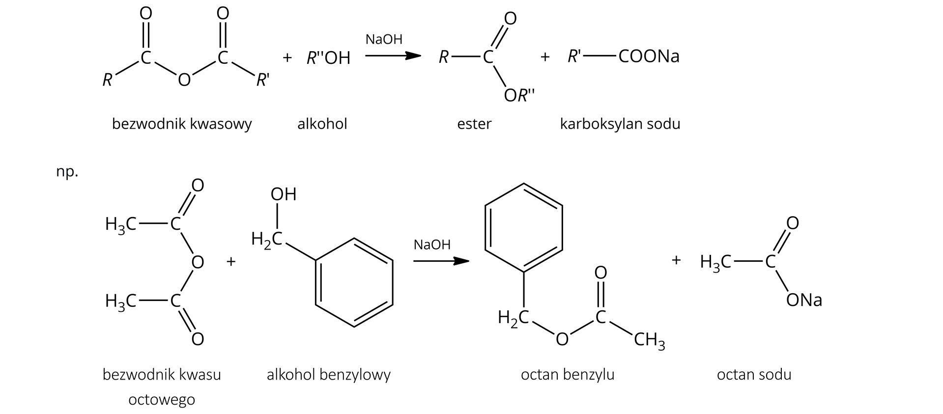Ilustracja przedstawiająca ogólne równanie reakcji otrzymywania estrów z bezwodników kwasowych oraz przykład tej reakcji. Cząsteczka bezwodnika kwasowego zbudowanego z atomu tlenu, połączonego z dwoma atomami węgla, z których każdy łączy się za pomocą wiązania podwójnego z jednym atomem tlenu oraz za pomocą wiązania pojedynczego, odpowiednio pierwszy z podstawnikiem R oraz drugi z podstawnikiem R prim. Dodać cząsteczkę alkoholu R dwa prim OH. Strzałka w prawo, nad strzałką NaOH, za strzałką cząsteczka estru zbudowanego z atomu węgla połączonego za pomocą wiązań pojedynczych z podstawnikiem R oraz podstawnikiem O R dwa prim, a także za pomocą wiązania podwójnego z atomem tlenu. Dodać cząsteczkę karboksylanu sodu zbudowanego z podstawnika R prim połączonego z grupą COONa. Na przykład. Cząsteczka bezwodnika kwasu octowego zbudowanego z atomu tlenu, połączonego z dwoma atomami węgla, z których każdy łączy się za pomocą wiązania podwójnego z jednym atomem tlenu oraz za pomocą wiązania pojedynczego podstawnikiem CH3. Dodać cząsteczkę alkoholu benzylowego zbudowanego z grupy hydroksylowej OH połączonej z grupą metylenową CH2 podstawioną pierścieniem fenylowym, to jest sześcioczłonowym pierścieniem aromatycznym. Strzałka w prawo, nad strzałką NaOH, za strzałką cząsteczka estru octanu benzylu zbudowanego z atomu węgla połączonego za pomocą wiązania podwójnego z atomem tlenu oraz za pomocą wiązań pojedynczych z podstawnikiem CH3 i podstawnikiem składającym się z atomu tlenu związanego z grupą metylenową CH2 podstawioną pierścieniem fenylowym. Dodać cząsteczkę octanu sodu zbudowanego z podstawnika CH3 związanego z atomem węgla połączonym za pomocą wiązania podwójnego z atomem tlenu oraz za pomocą wiązania pojedynczego z grupą ONa.